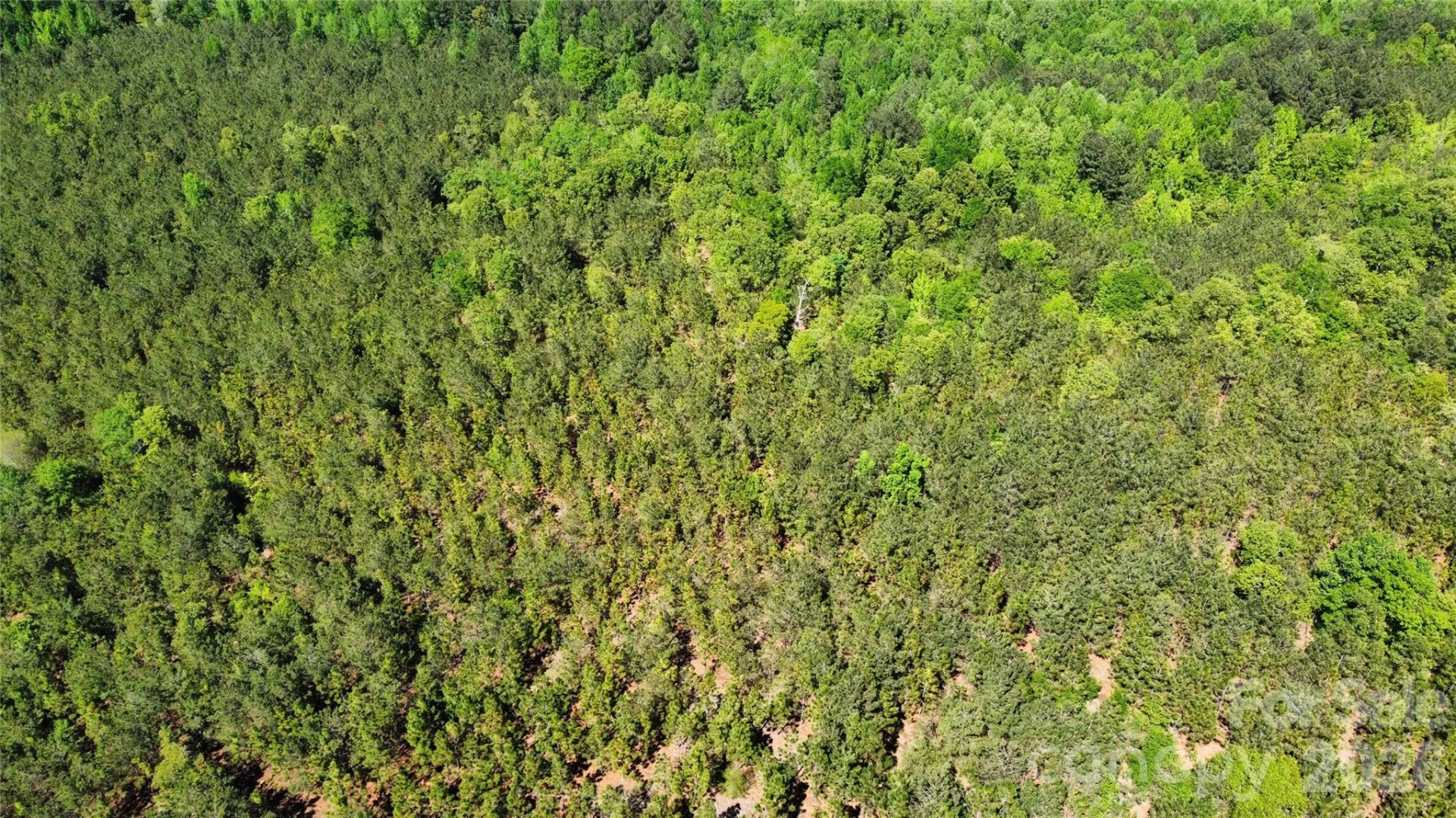 1050 Mcqueen Road - Photo 30