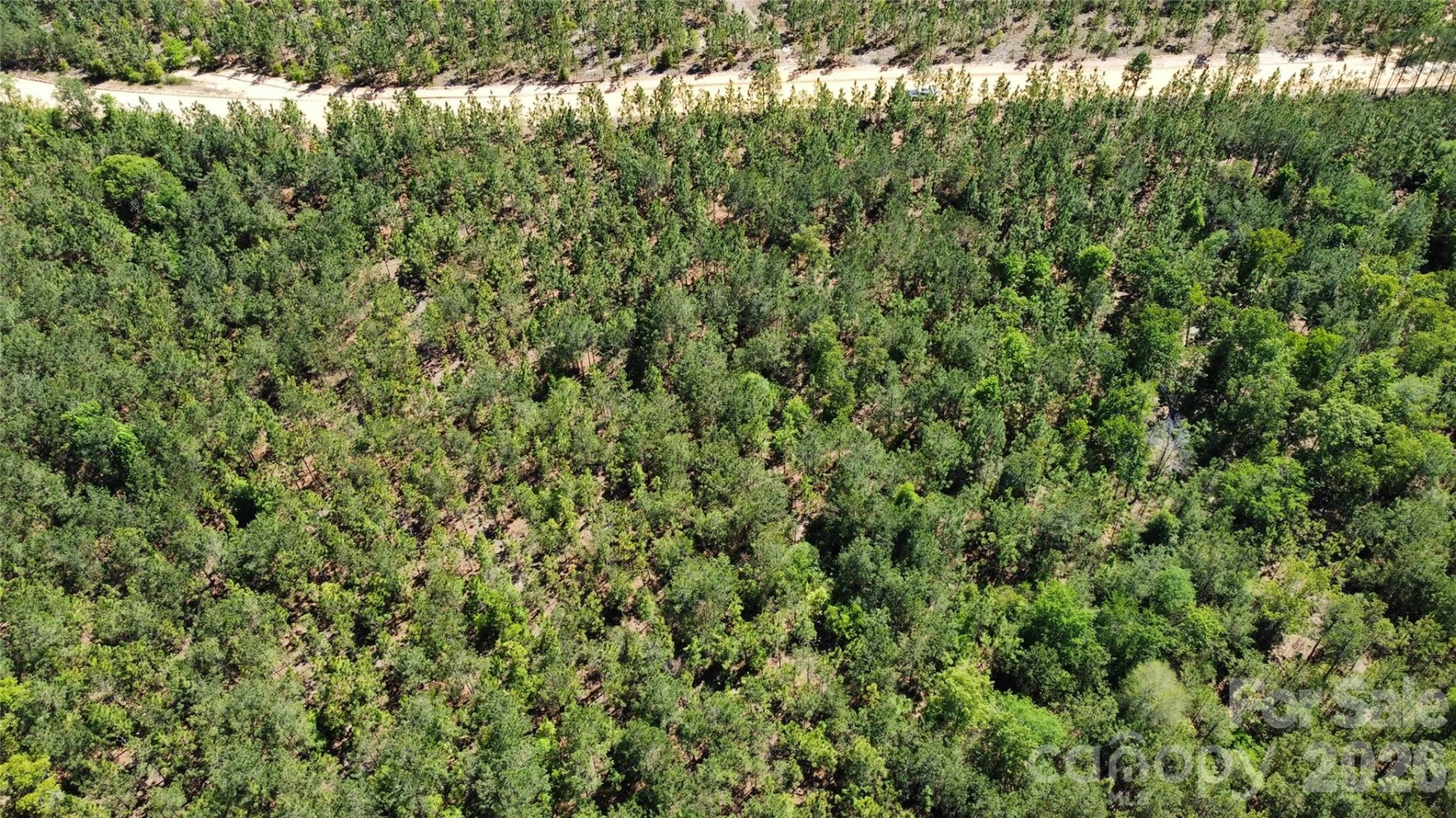 1050 Mcqueen Road - Photo 32