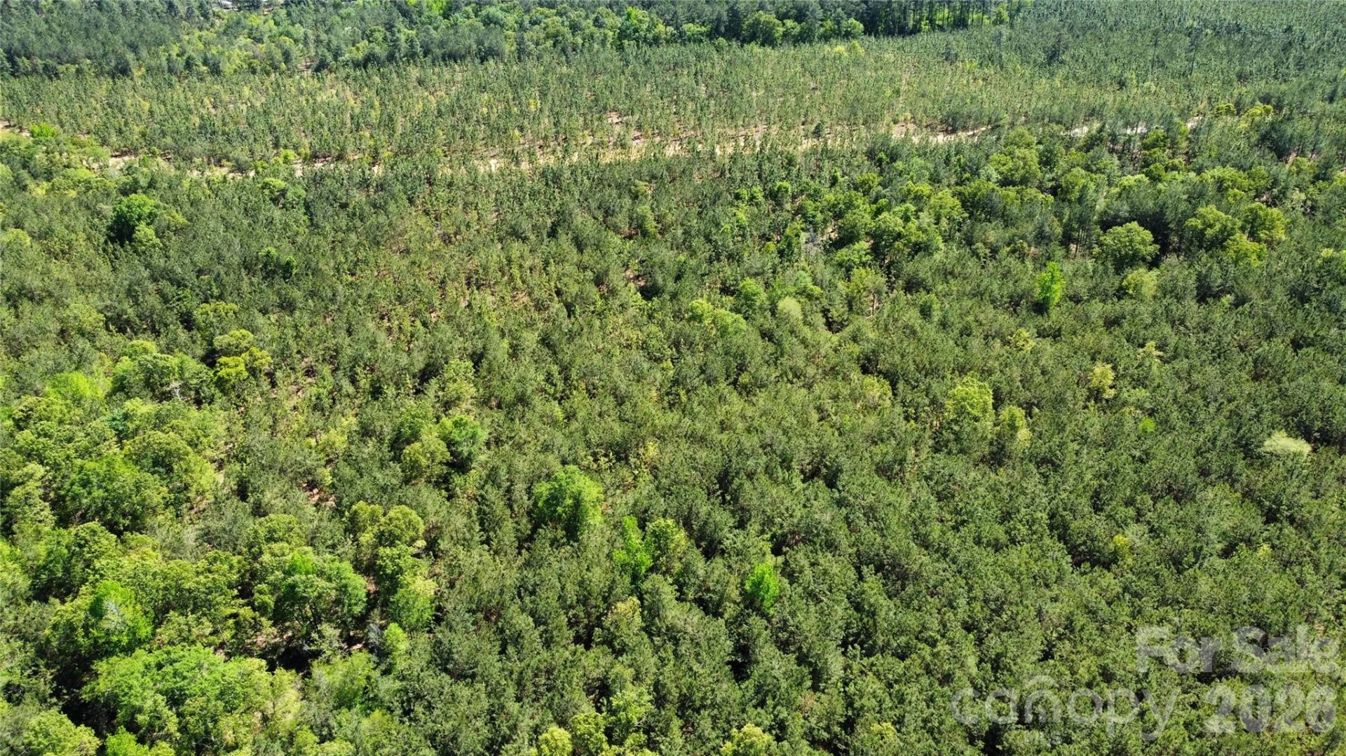 1050 Mcqueen Road - Photo 33