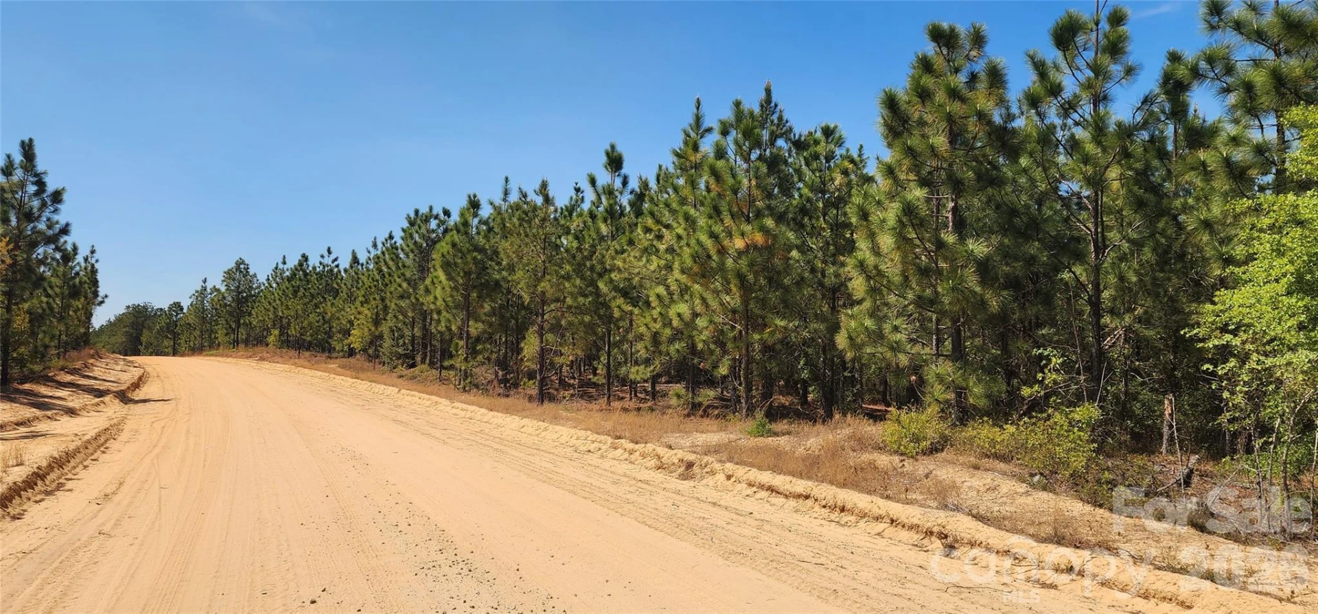 1050 Mcqueen Road - Photo 36