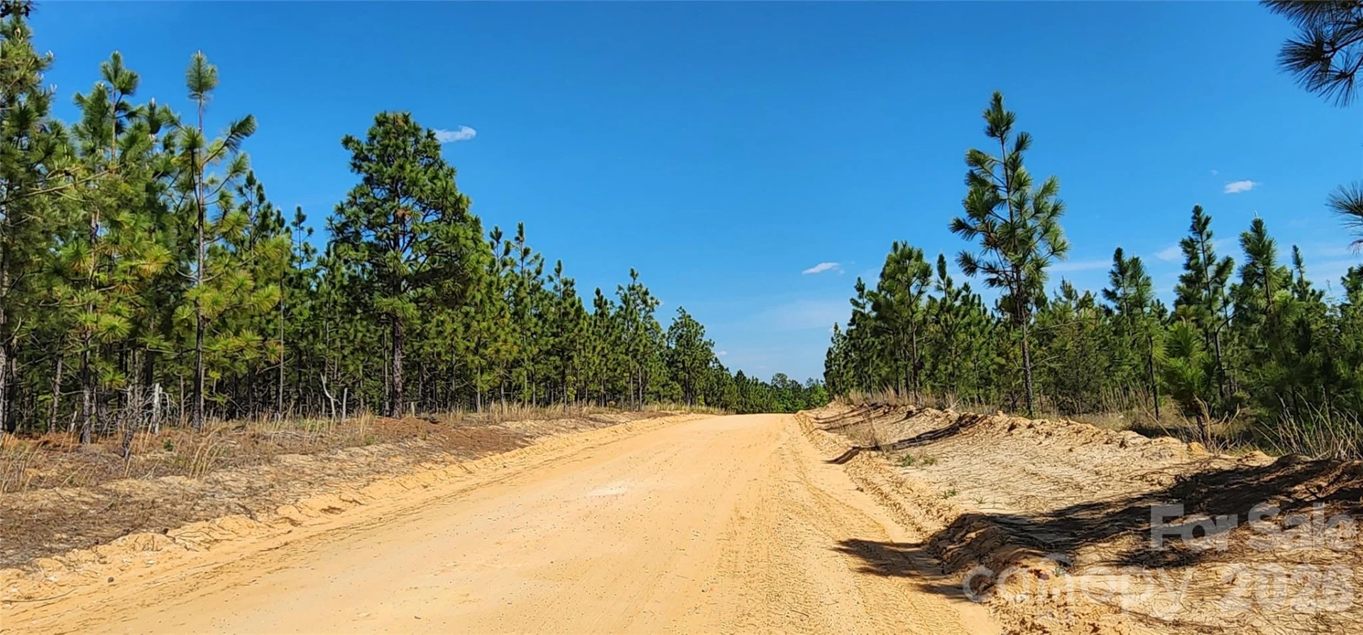 1050 Mcqueen Road - Photo 38