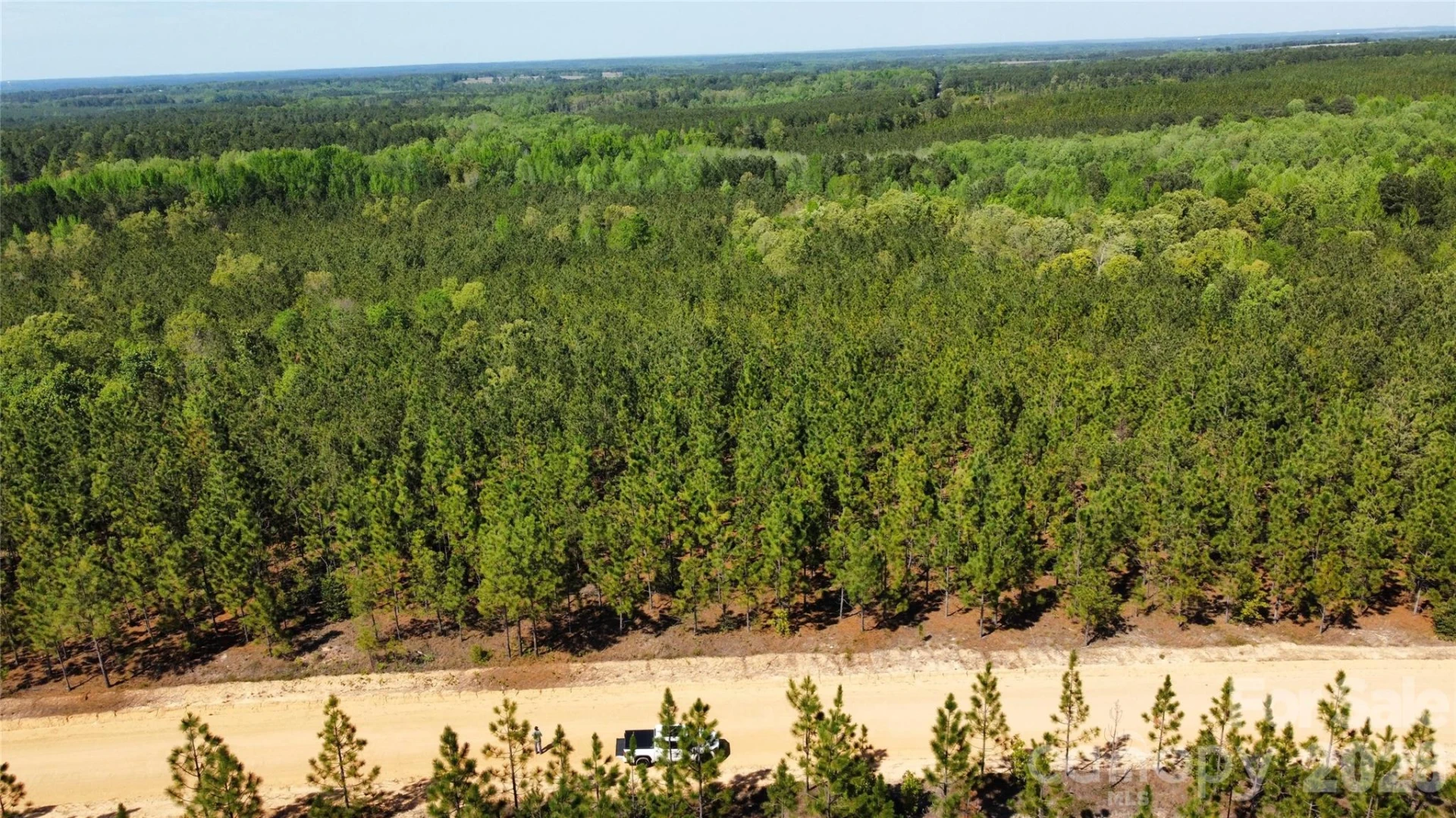 1050 Mcqueen Road - Photo 39