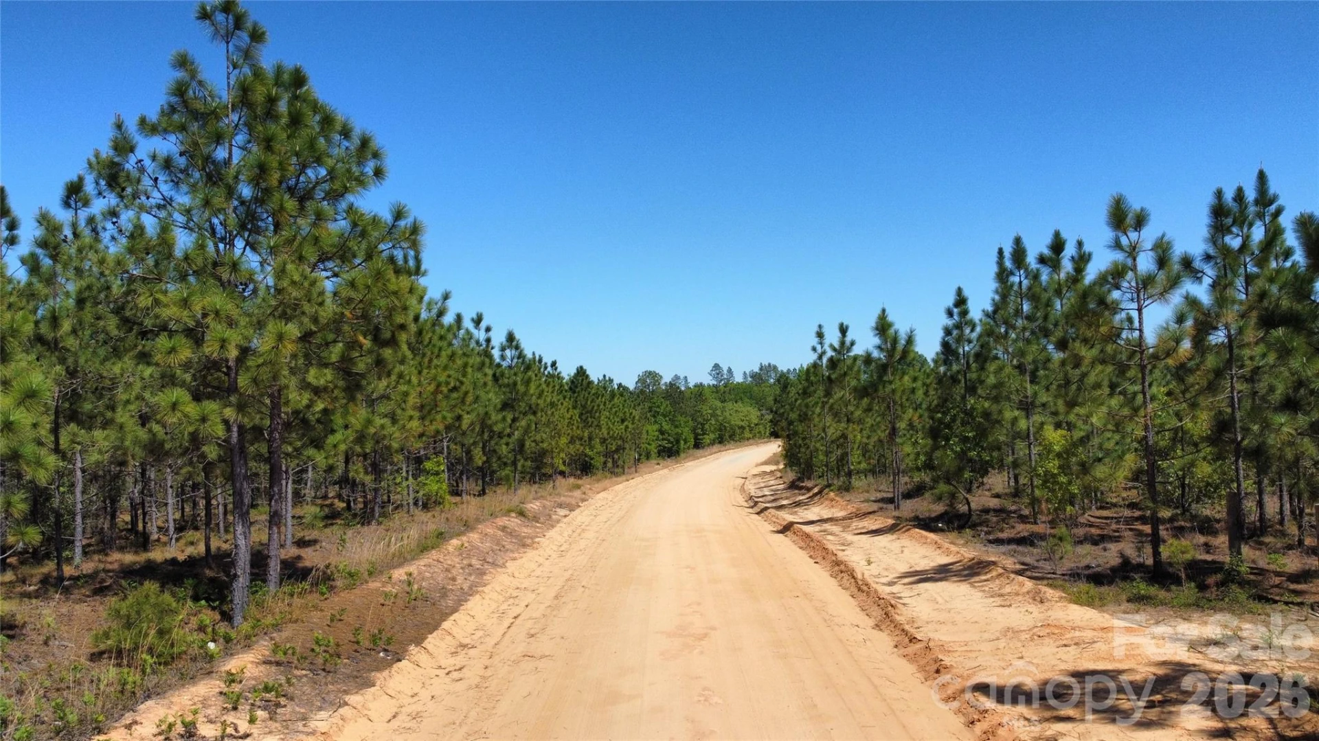 1050 Mcqueen Road - Photo 5