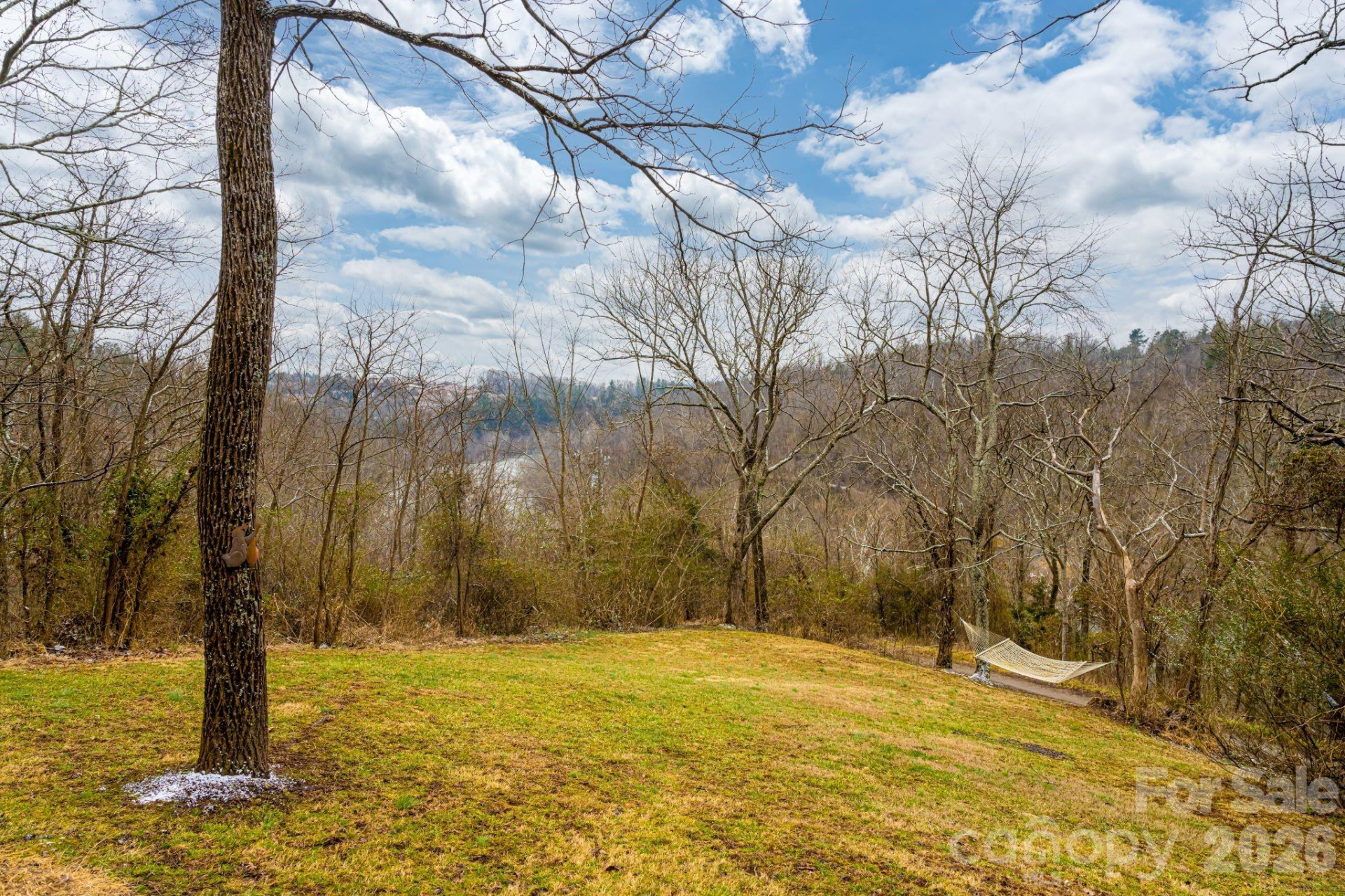 119 Old Salem Branch Drive #1B - Photo 2