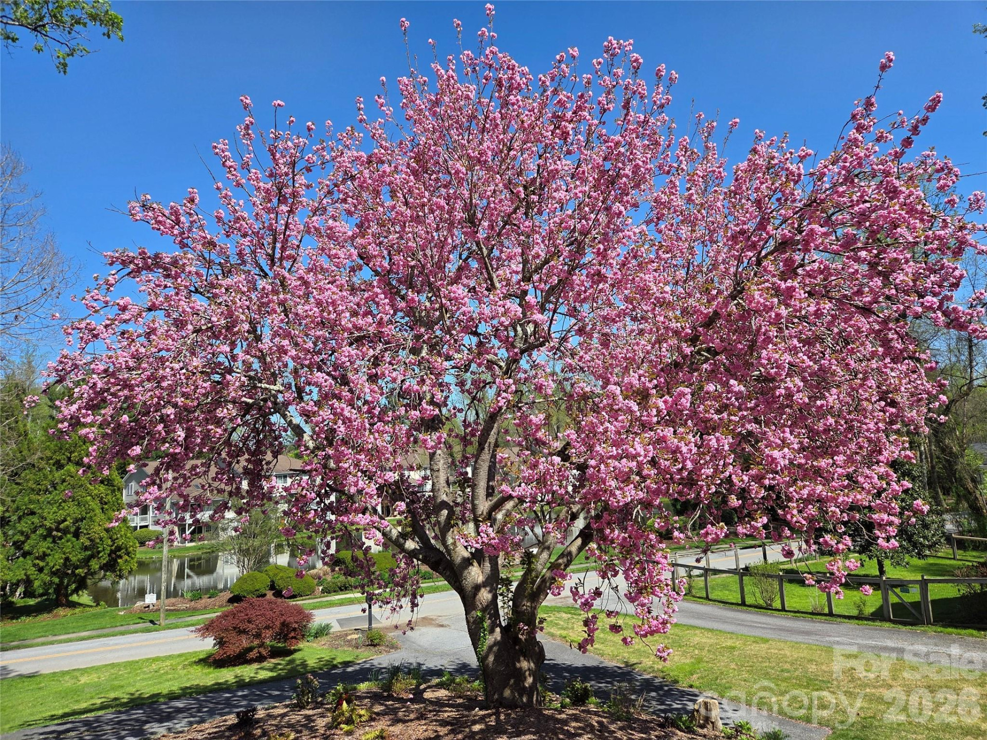 104 Lake Avenue - Photo 43