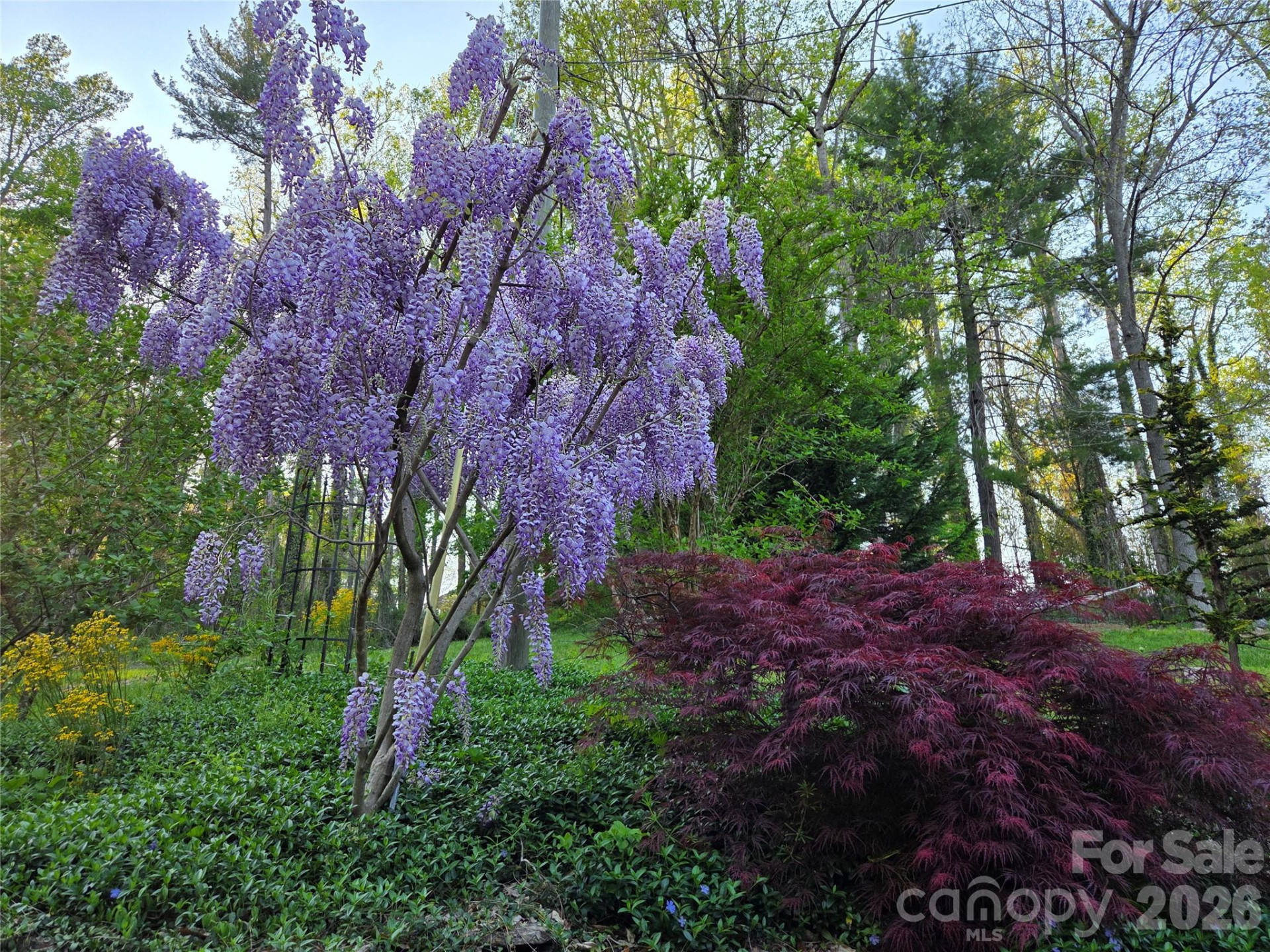 104 Lake Avenue - Photo 44