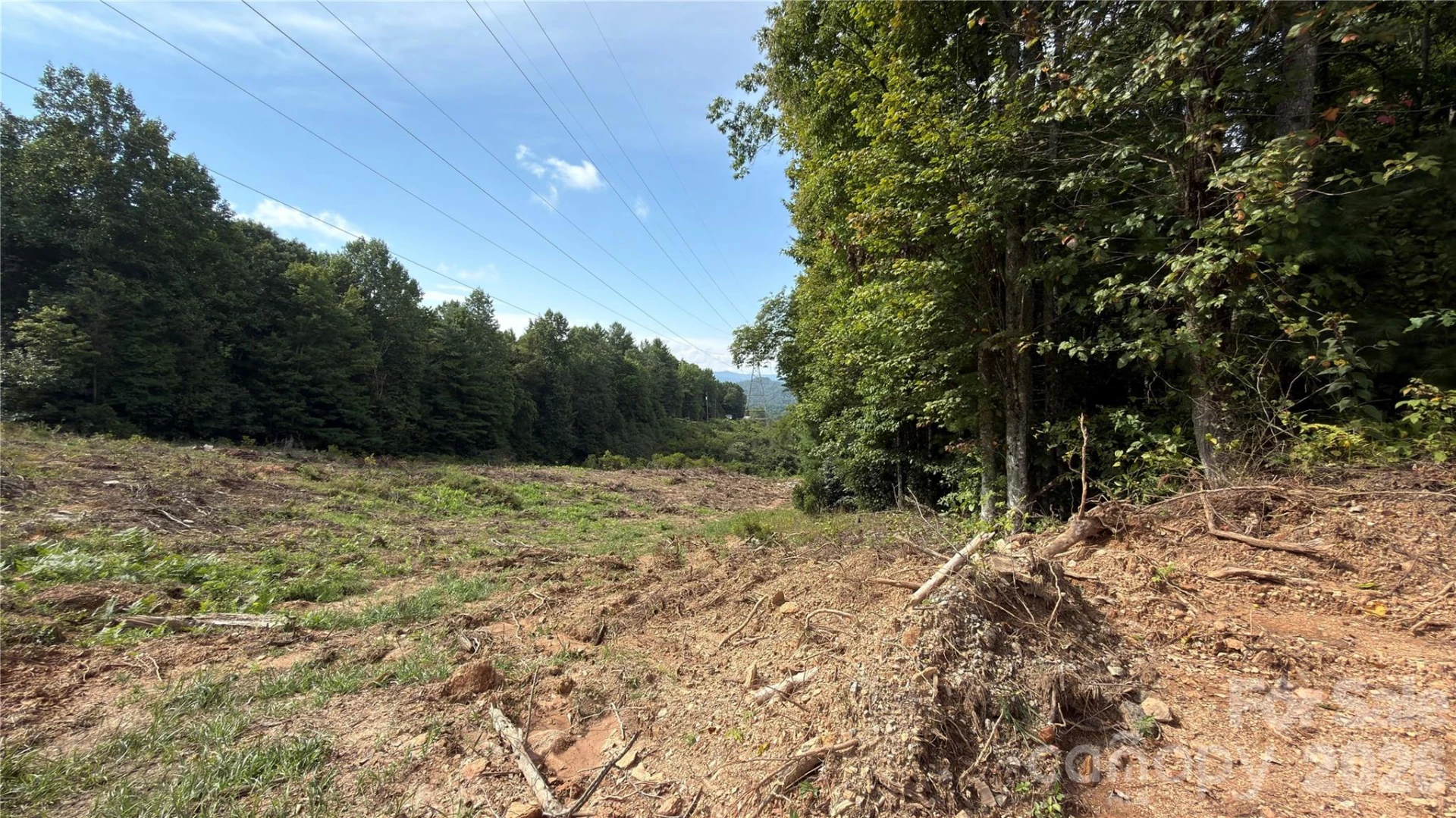 1730 Fox Hollow Road - Photo 2