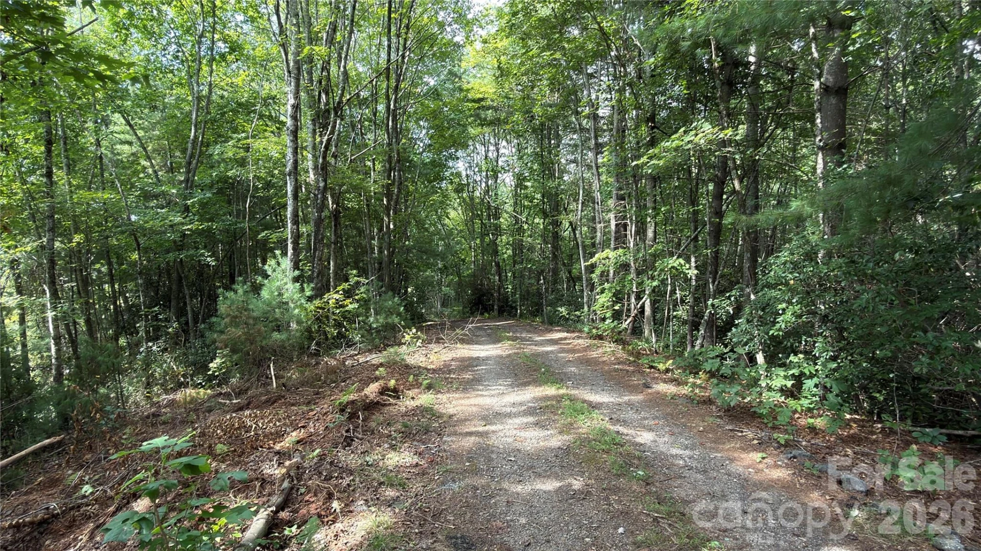 1730 Fox Hollow Road - Photo 3