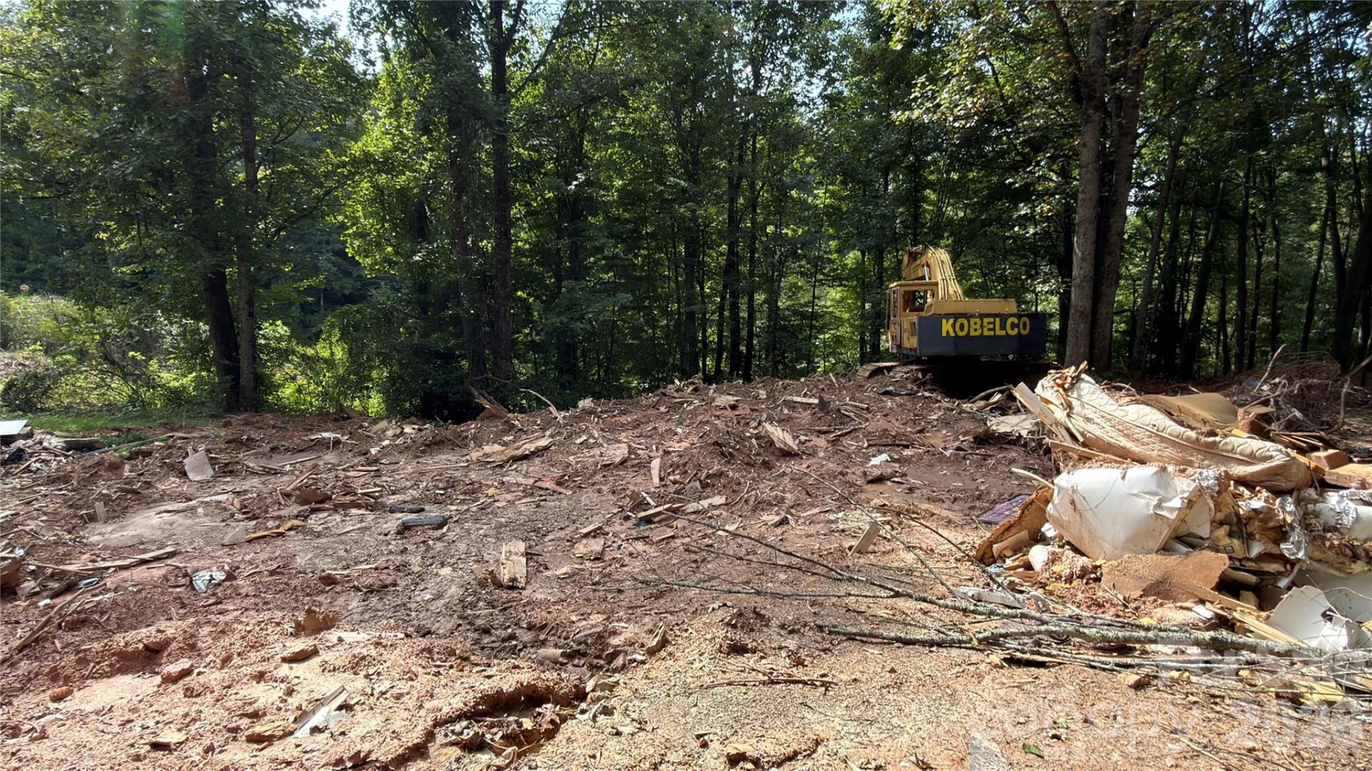 1730 Fox Hollow Road - Photo 4