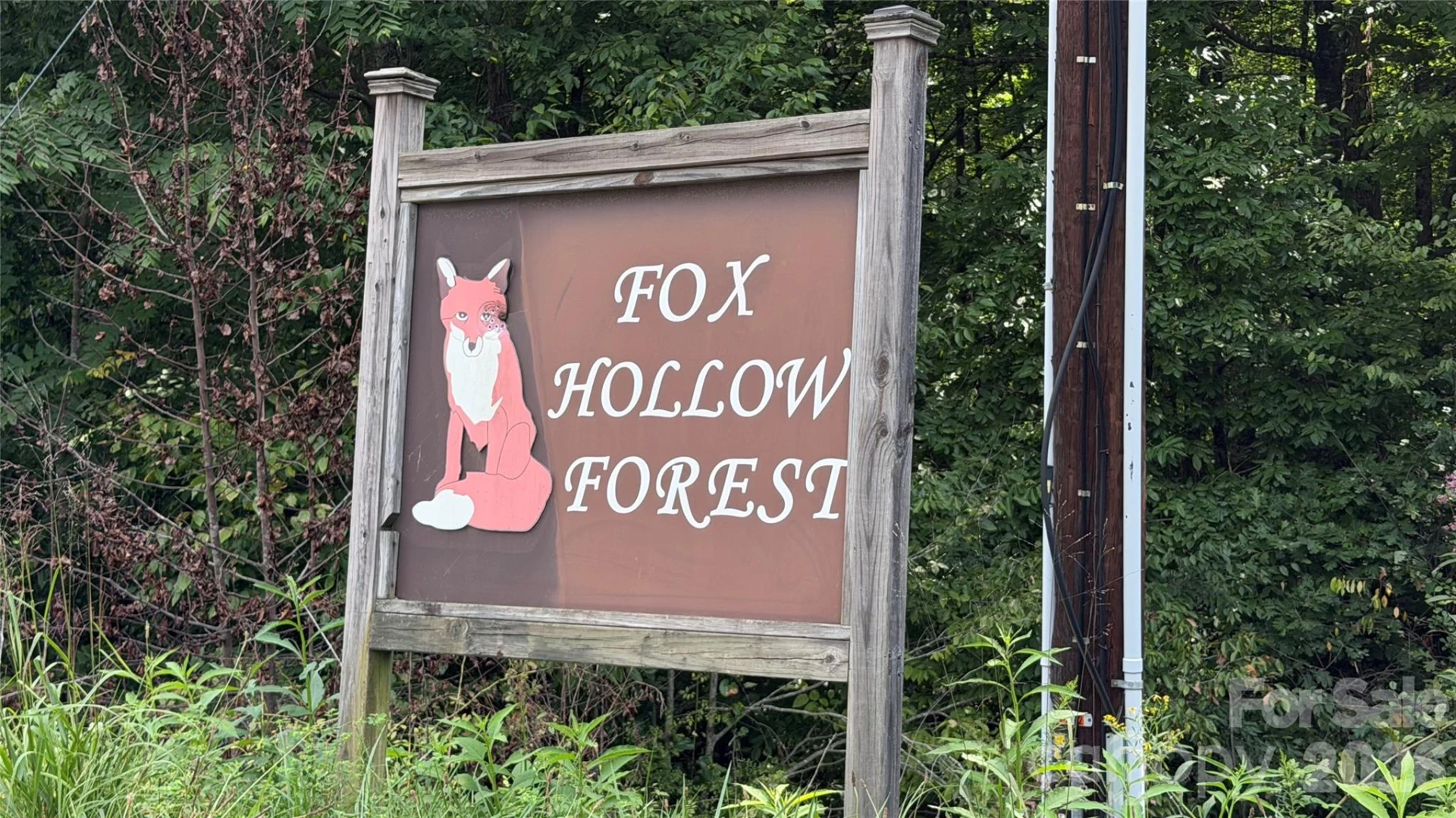 1730 Fox Hollow Road - Photo 9
