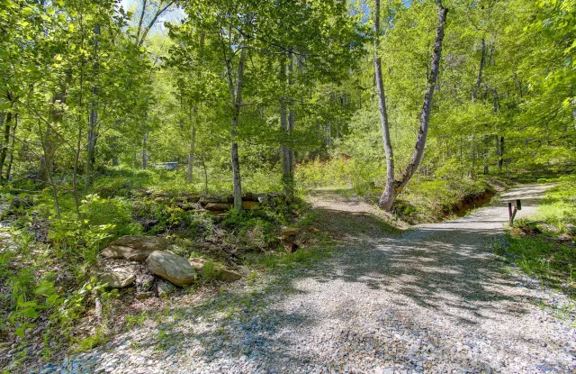 109 & 99999 Apgar Road, Candler, NC, 28715