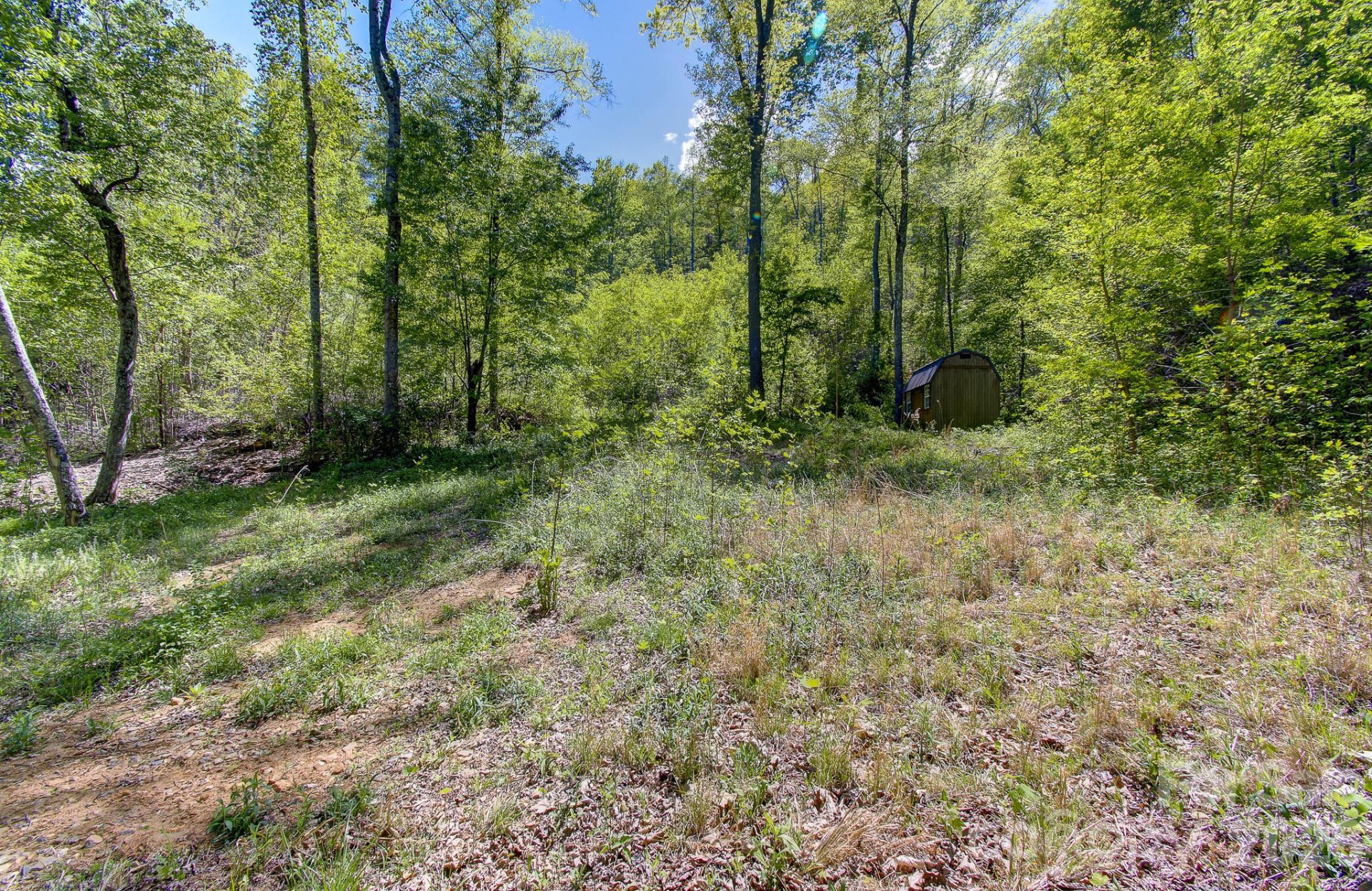 109 & 99999 Apgar Road - Photo 2