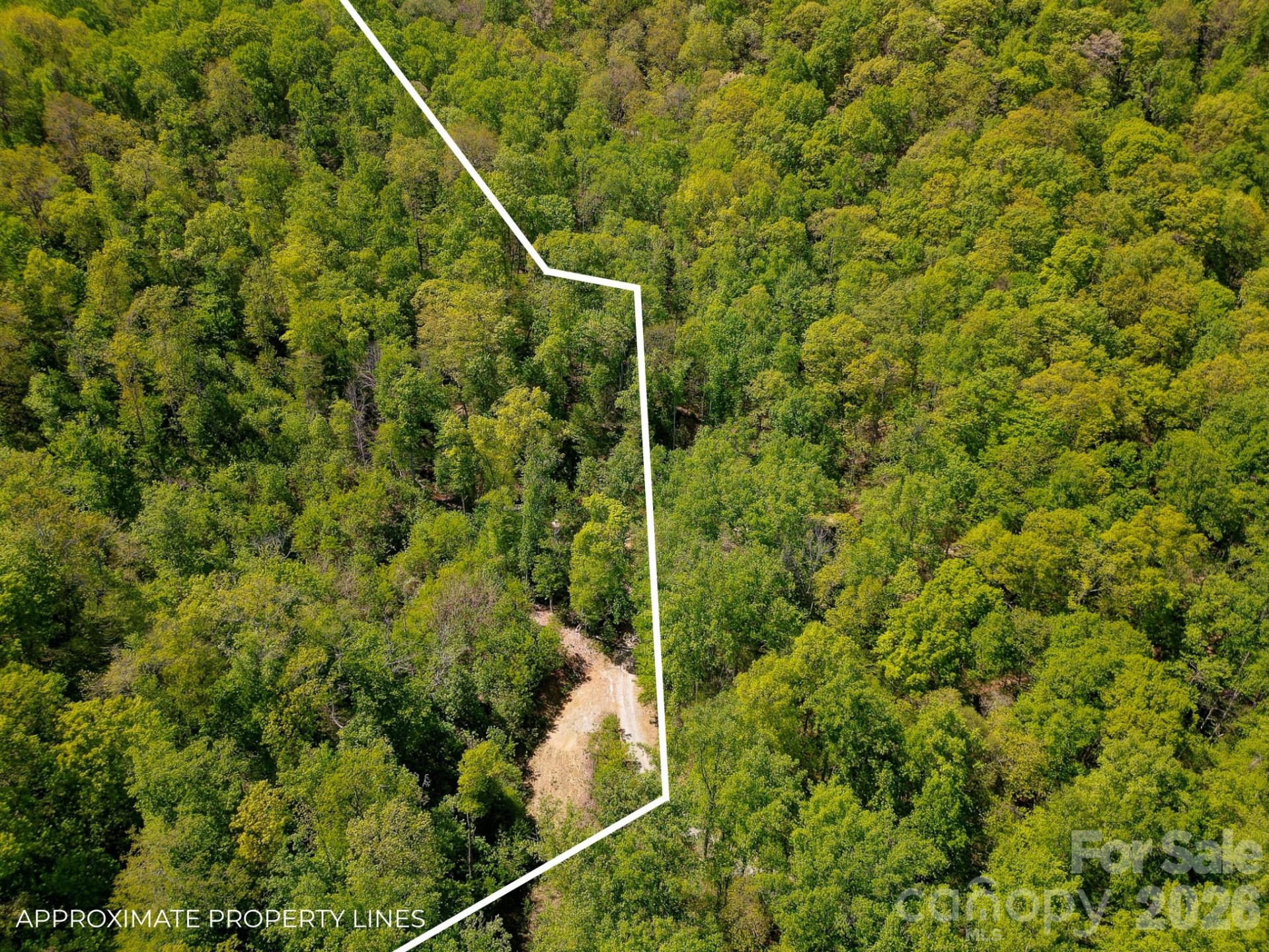 109 & 99999 Apgar Road - Photo 12