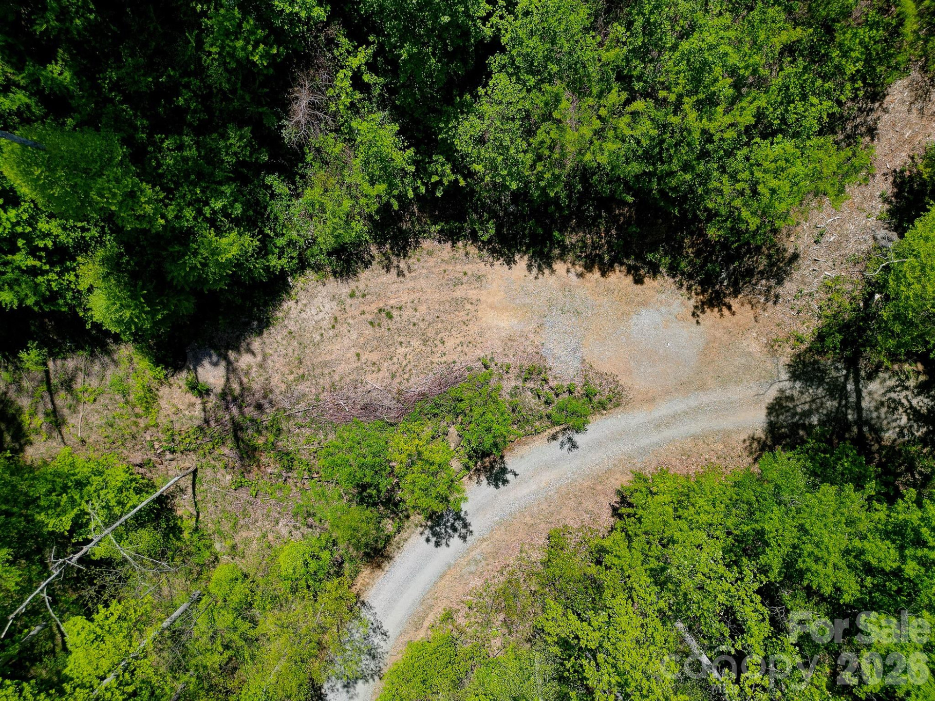 109 & 99999 Apgar Road - Photo 13