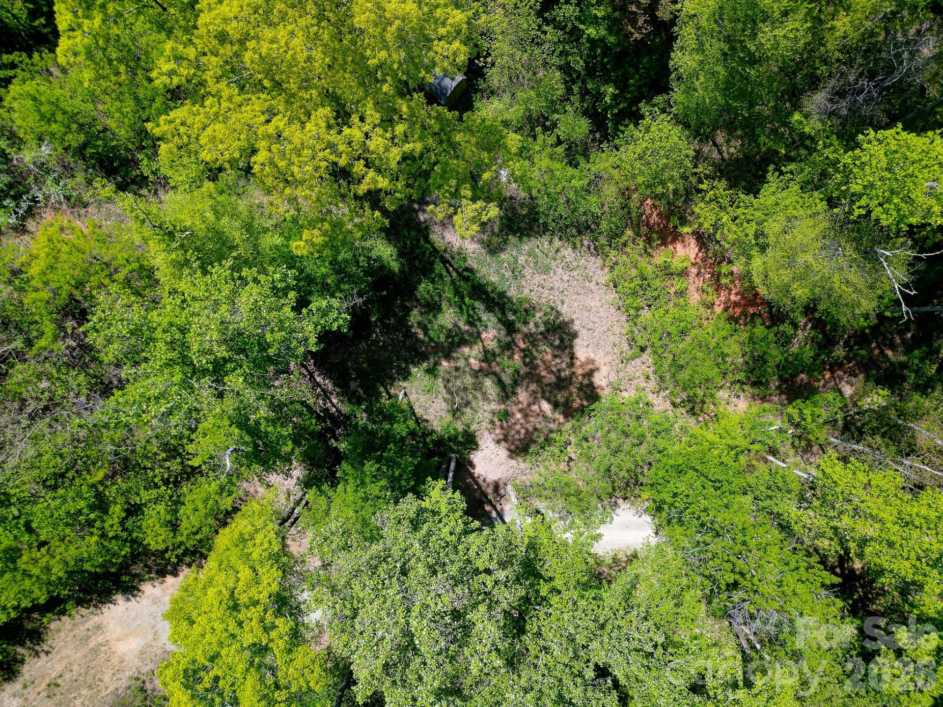 109 & 99999 Apgar Road - Photo 15