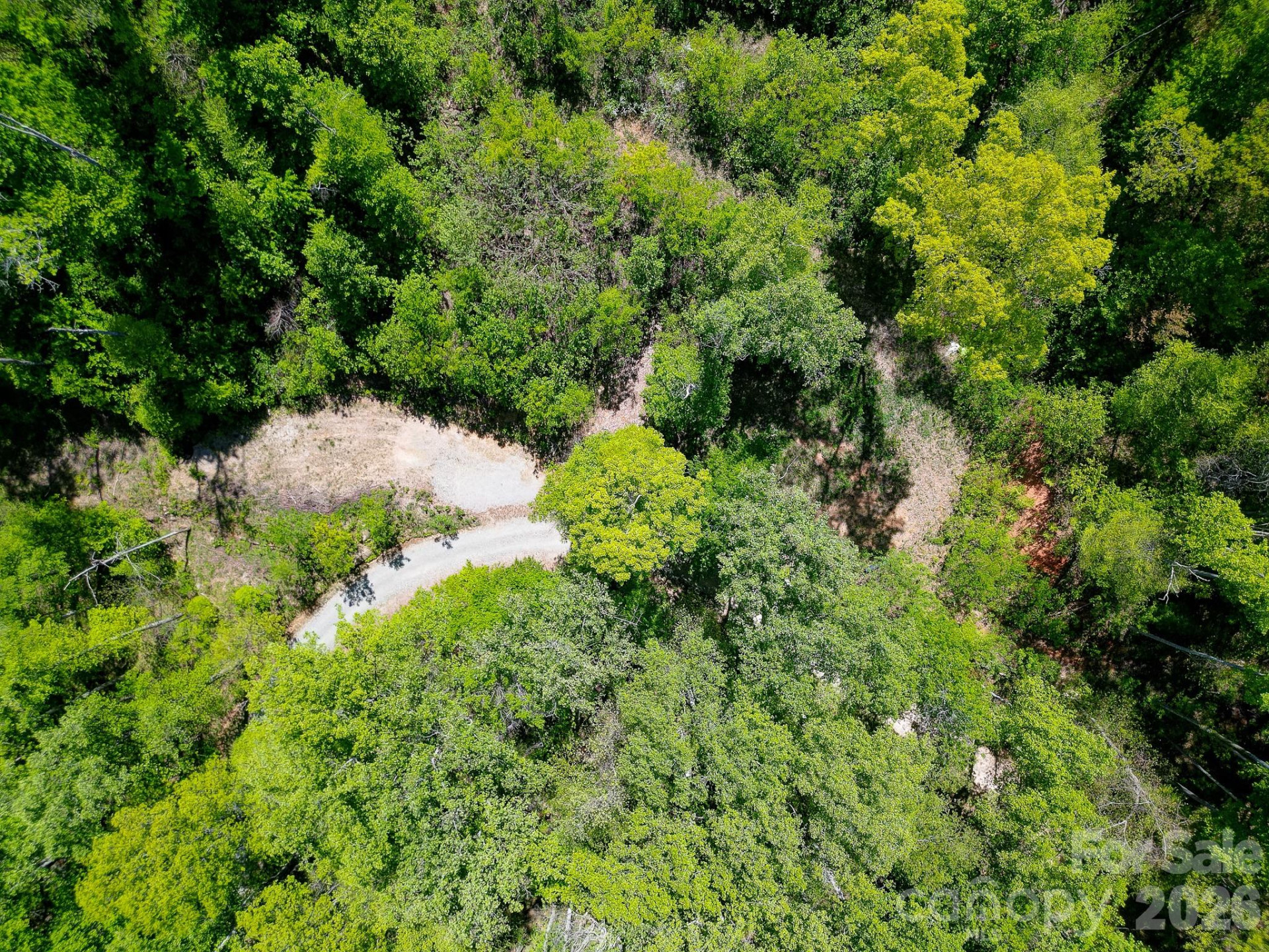 109 & 99999 Apgar Road - Photo 16