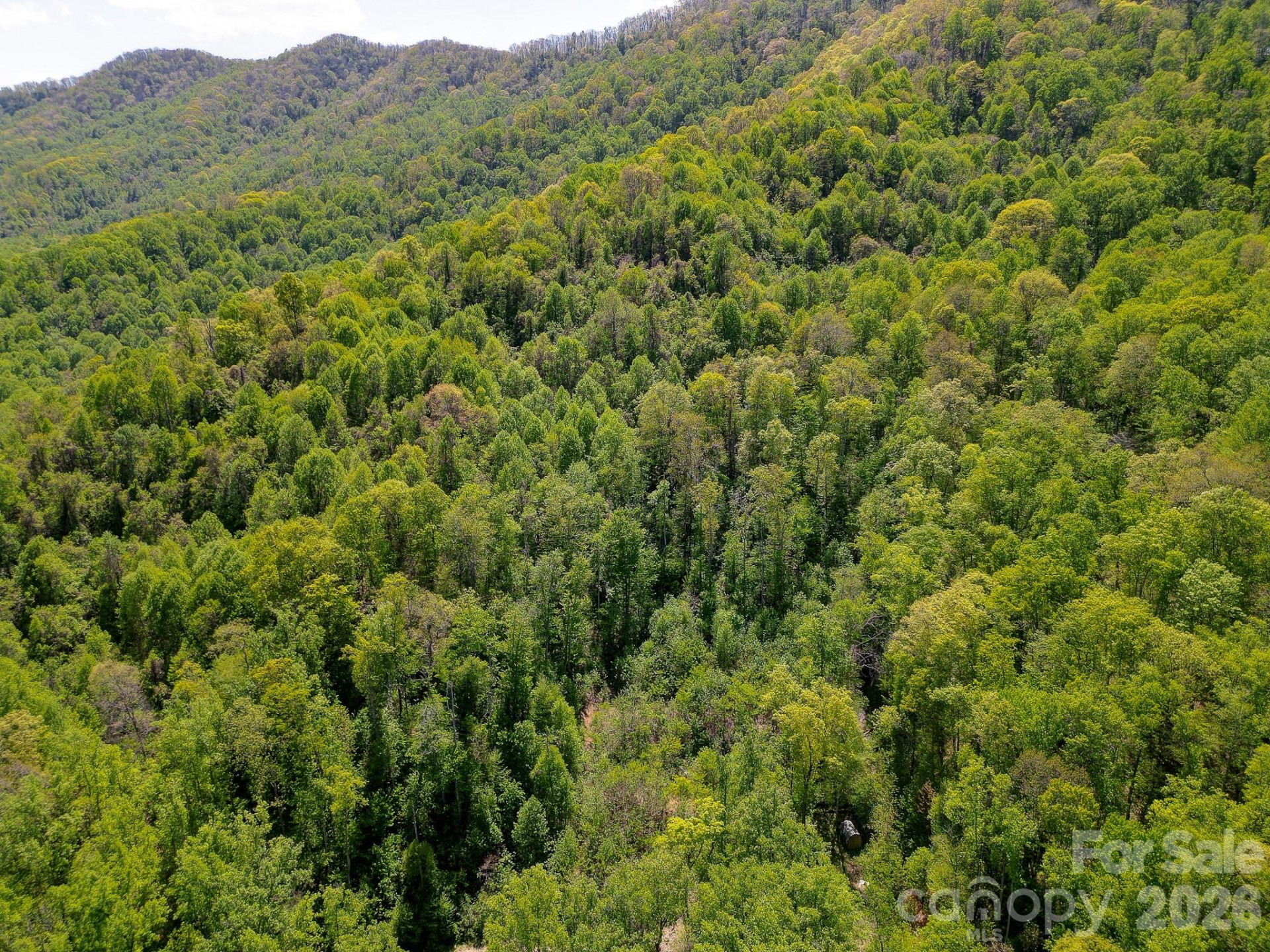 109 & 99999 Apgar Road - Photo 17