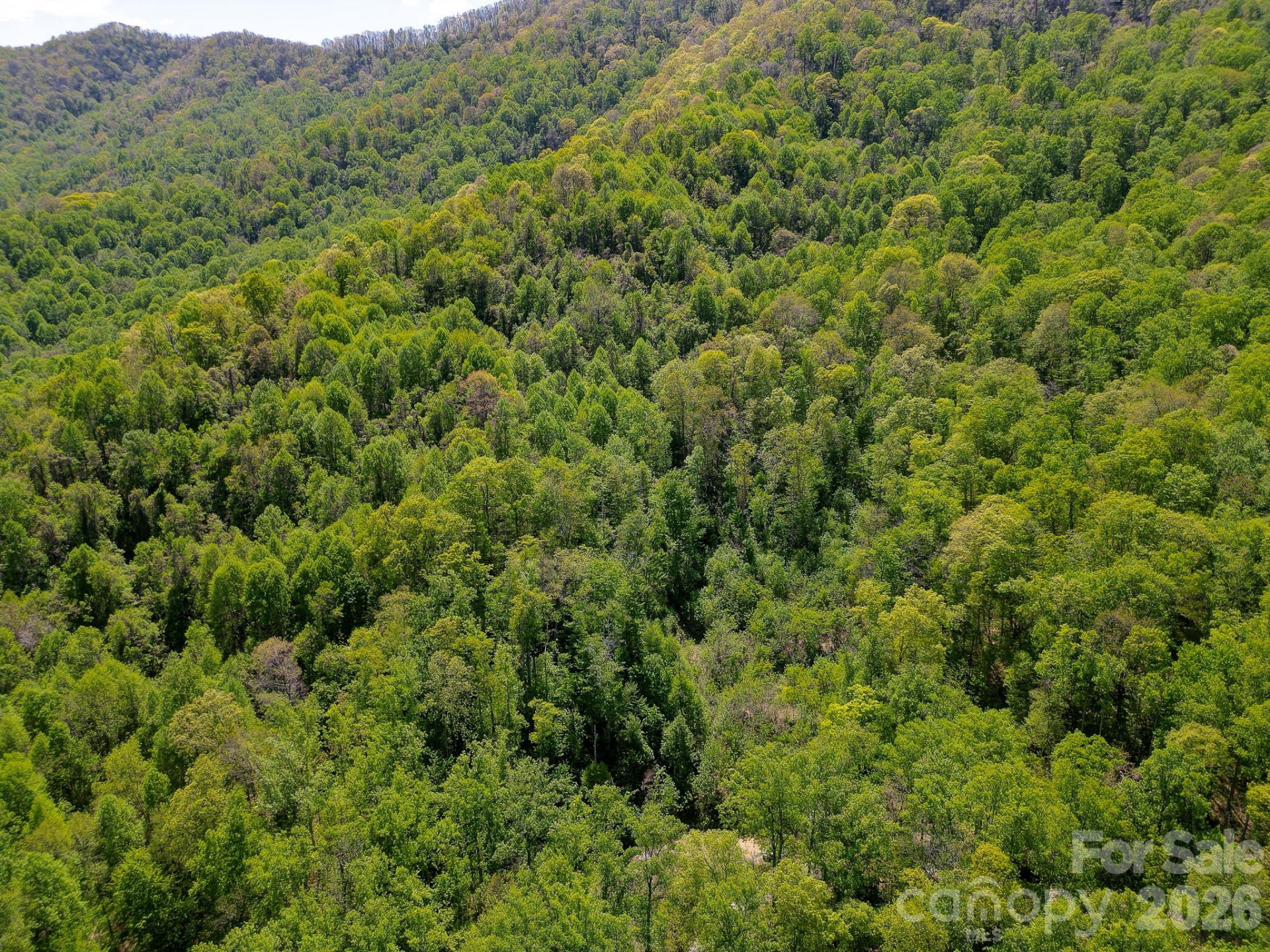 109 & 99999 Apgar Road - Photo 18