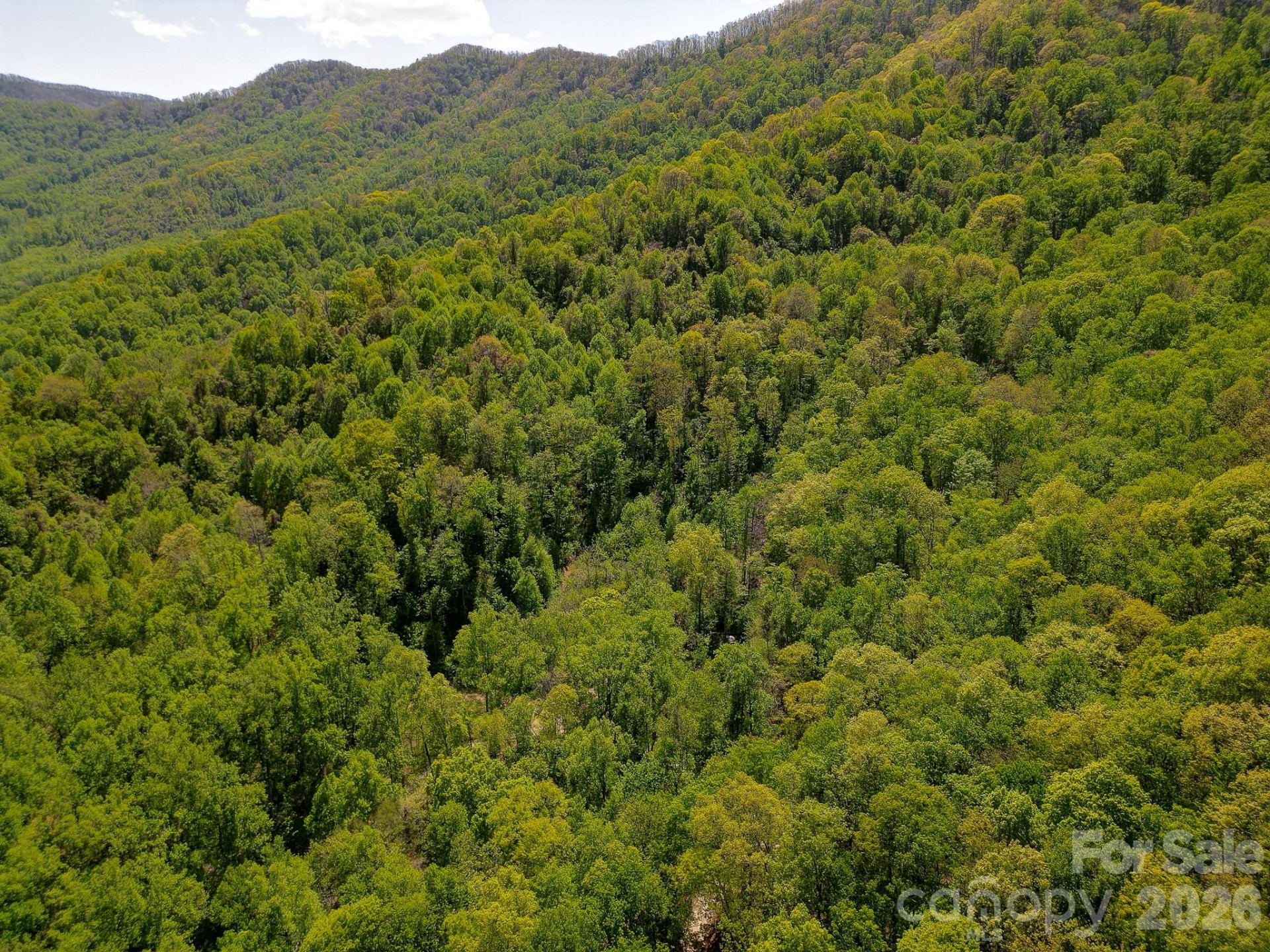 109 & 99999 Apgar Road - Photo 19