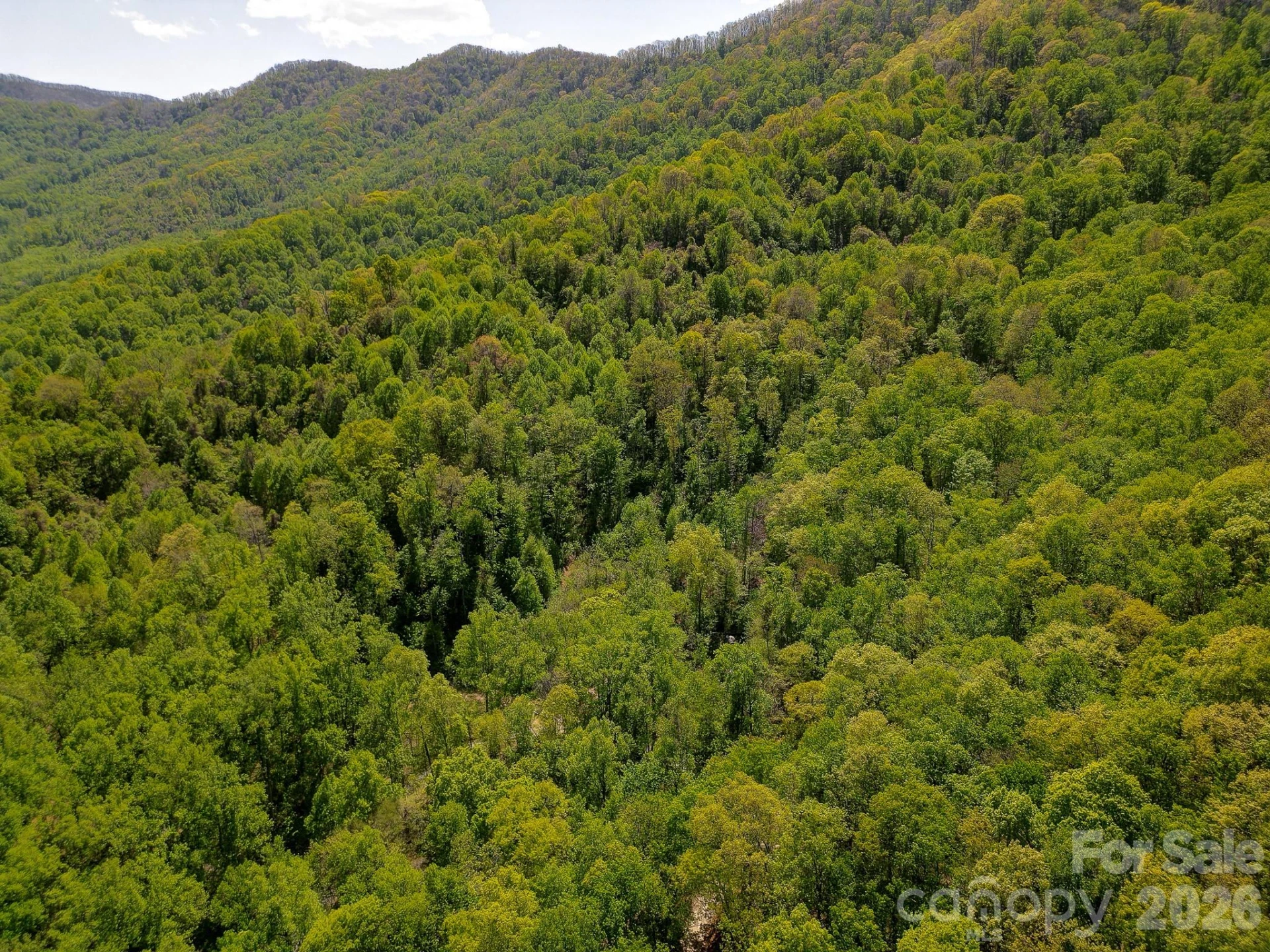 109 & 99999 Apgar Road - Photo 19
