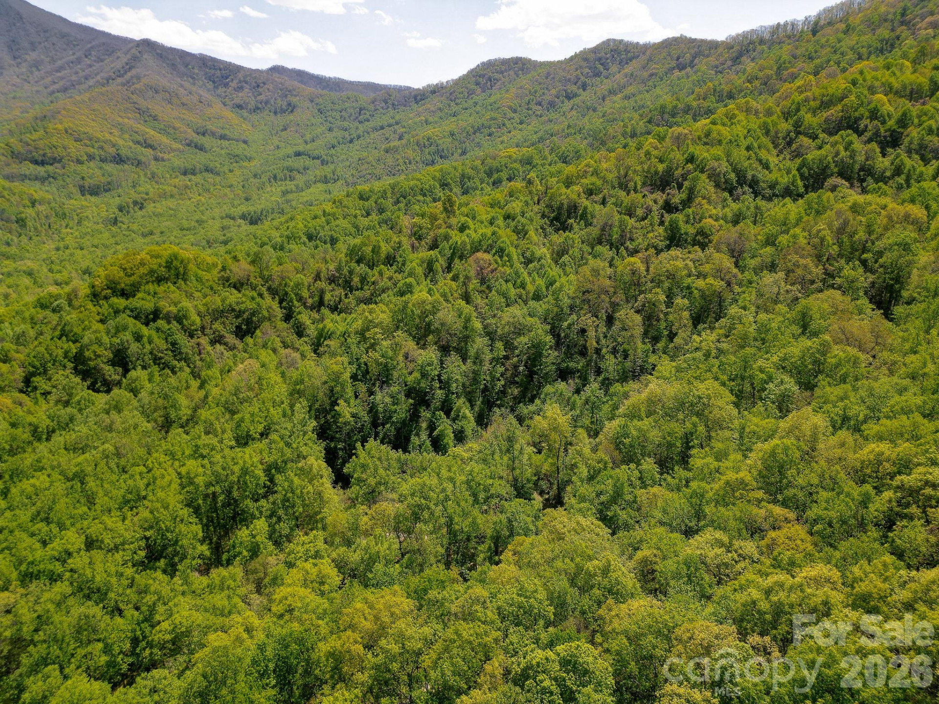 109 & 99999 Apgar Road - Photo 20