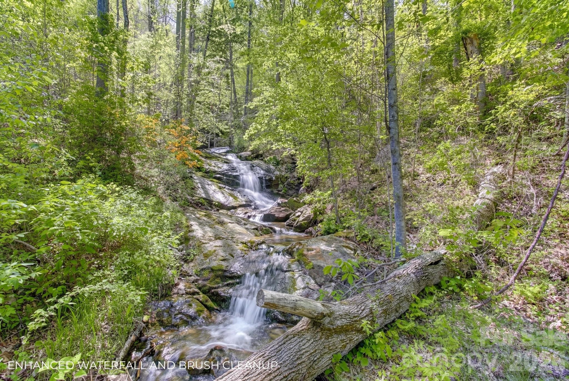 109 & 99999 Apgar Road - Photo 3