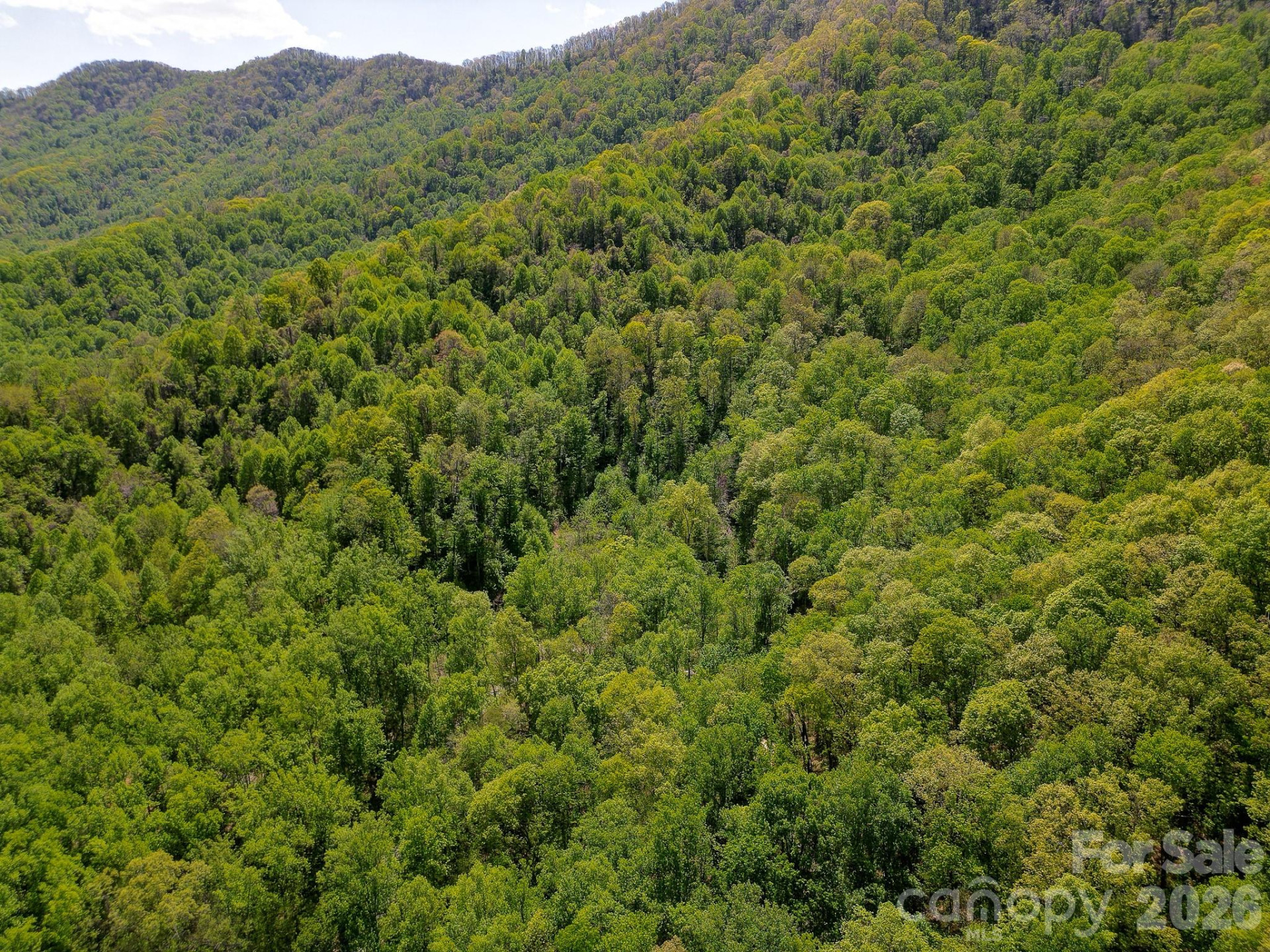 109 & 99999 Apgar Road - Photo 21