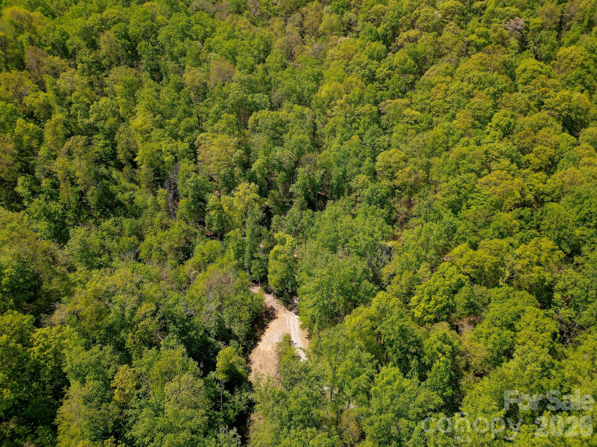 109 & 99999 Apgar Road - Photo 22