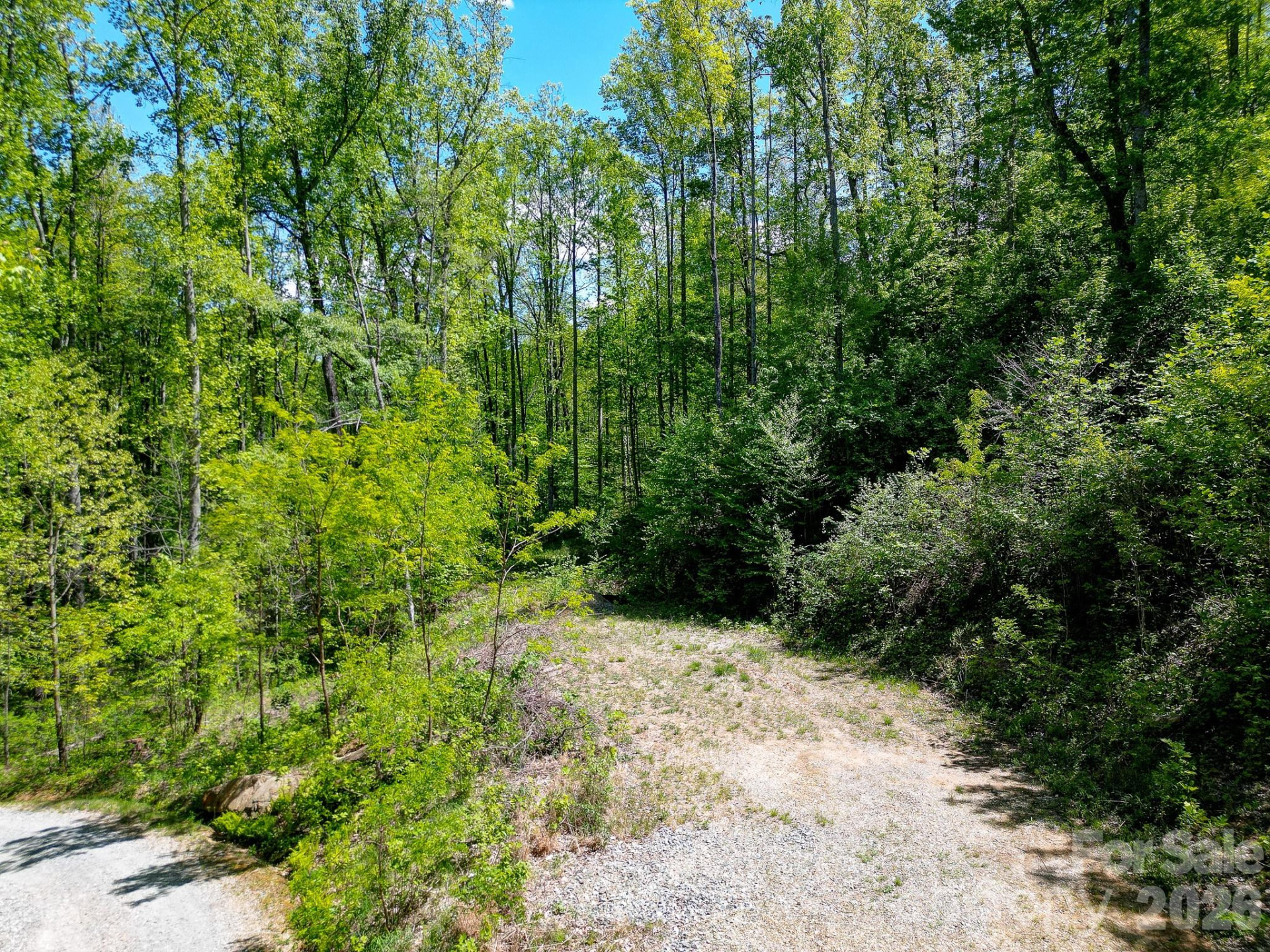 109 & 99999 Apgar Road - Photo 25