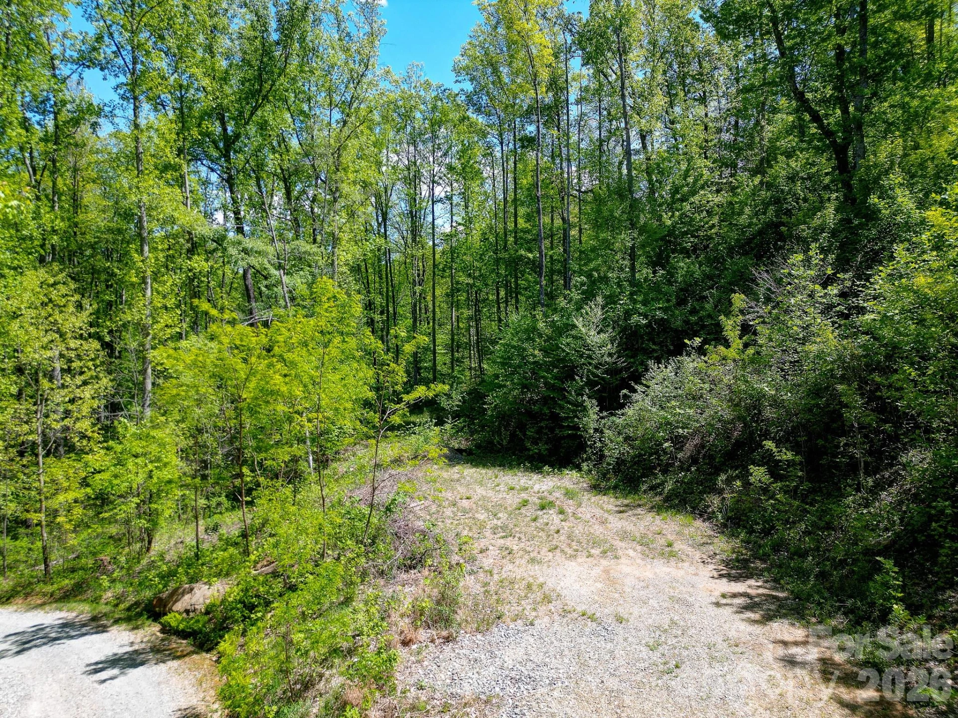 109 & 99999 Apgar Road - Photo 25