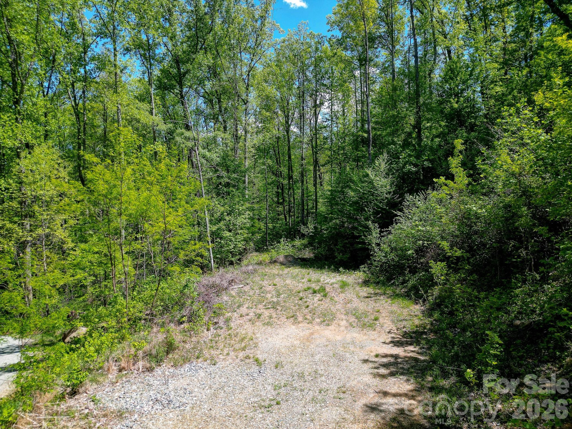 109 & 99999 Apgar Road - Photo 26