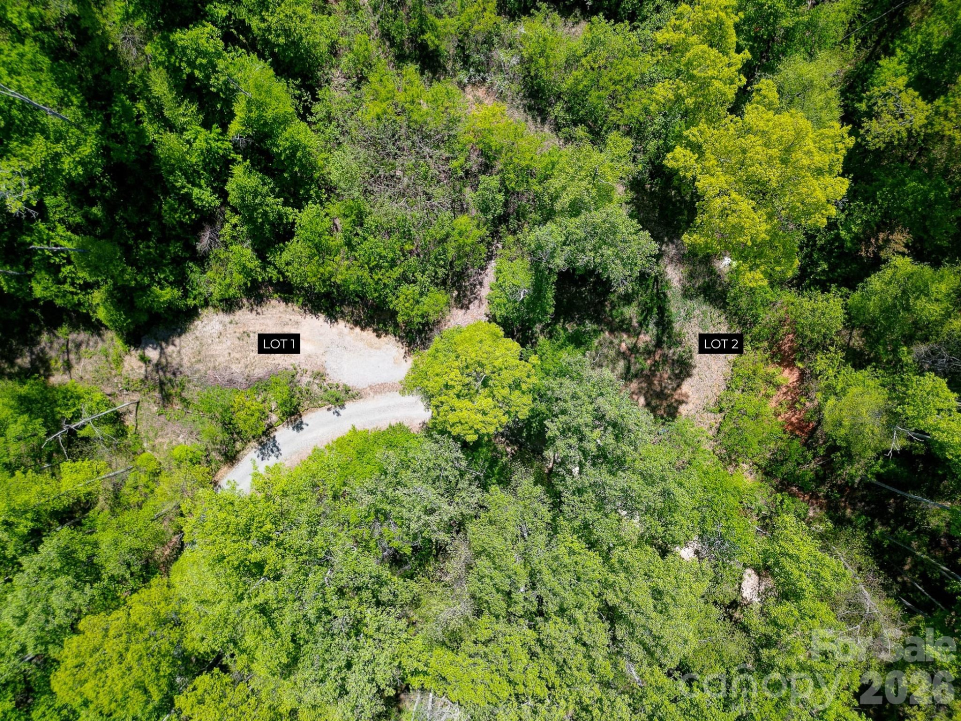 109 & 99999 Apgar Road - Photo 4