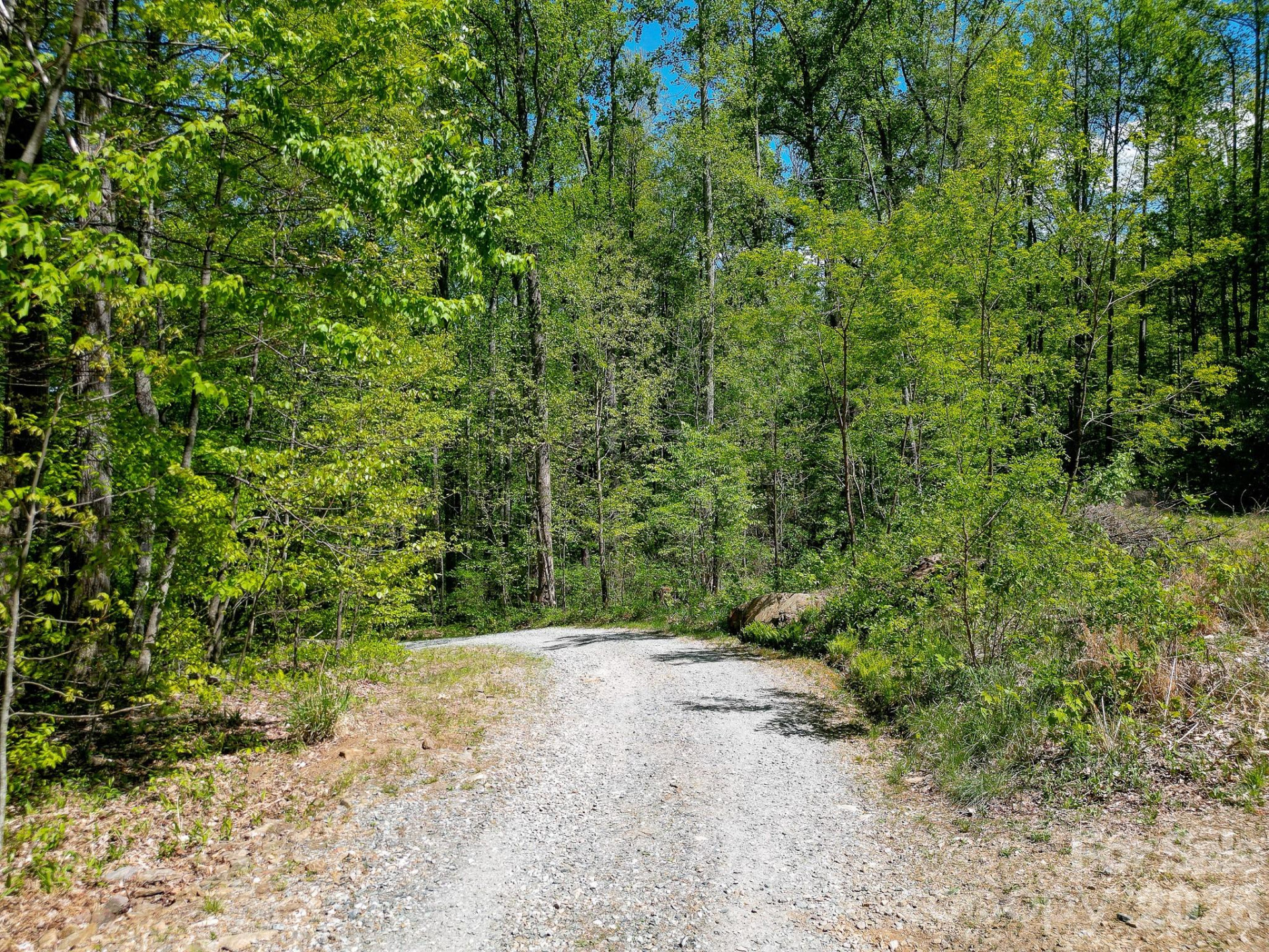 109 & 99999 Apgar Road - Photo 31