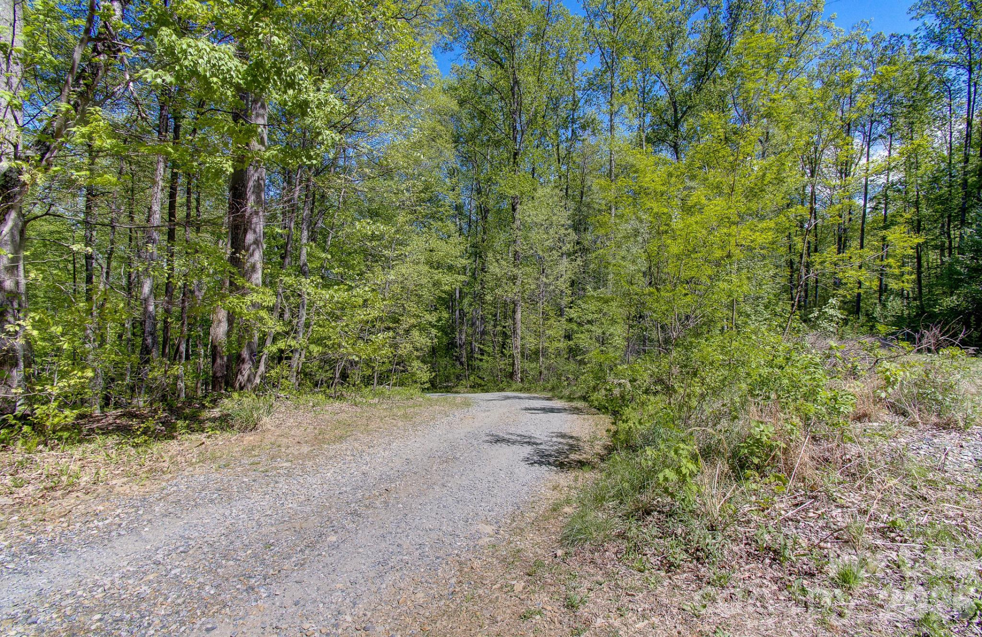 109 & 99999 Apgar Road - Photo 34