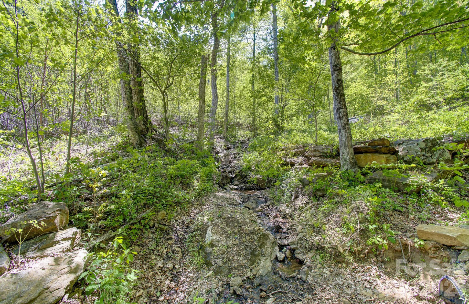 109 & 99999 Apgar Road - Photo 36