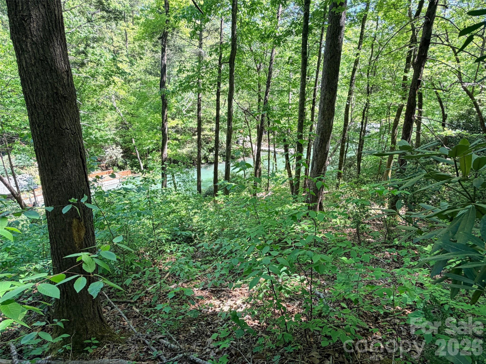 595 Quail Ridge Boulevard - Photo 13
