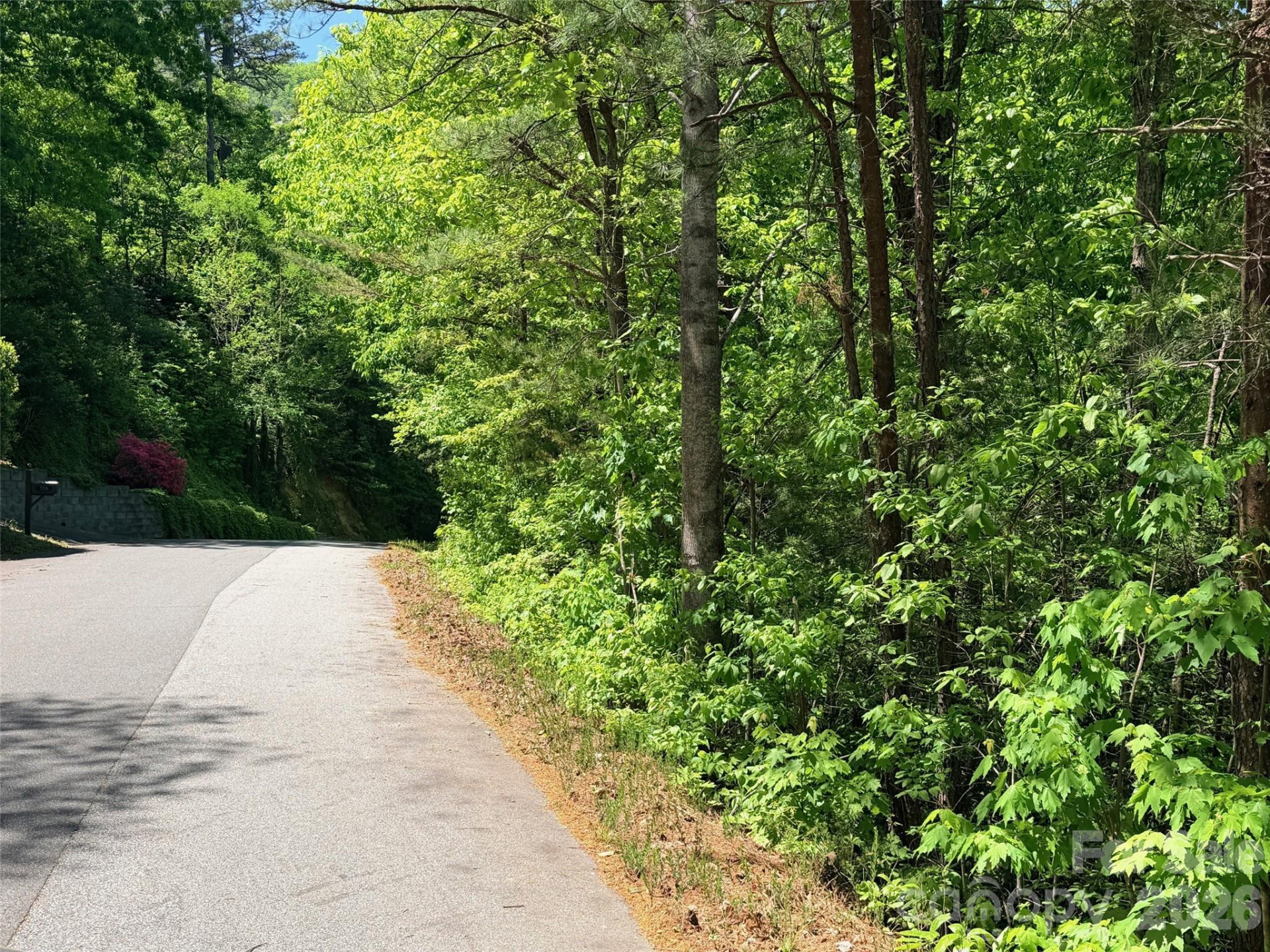 595 Quail Ridge Boulevard - Photo 14