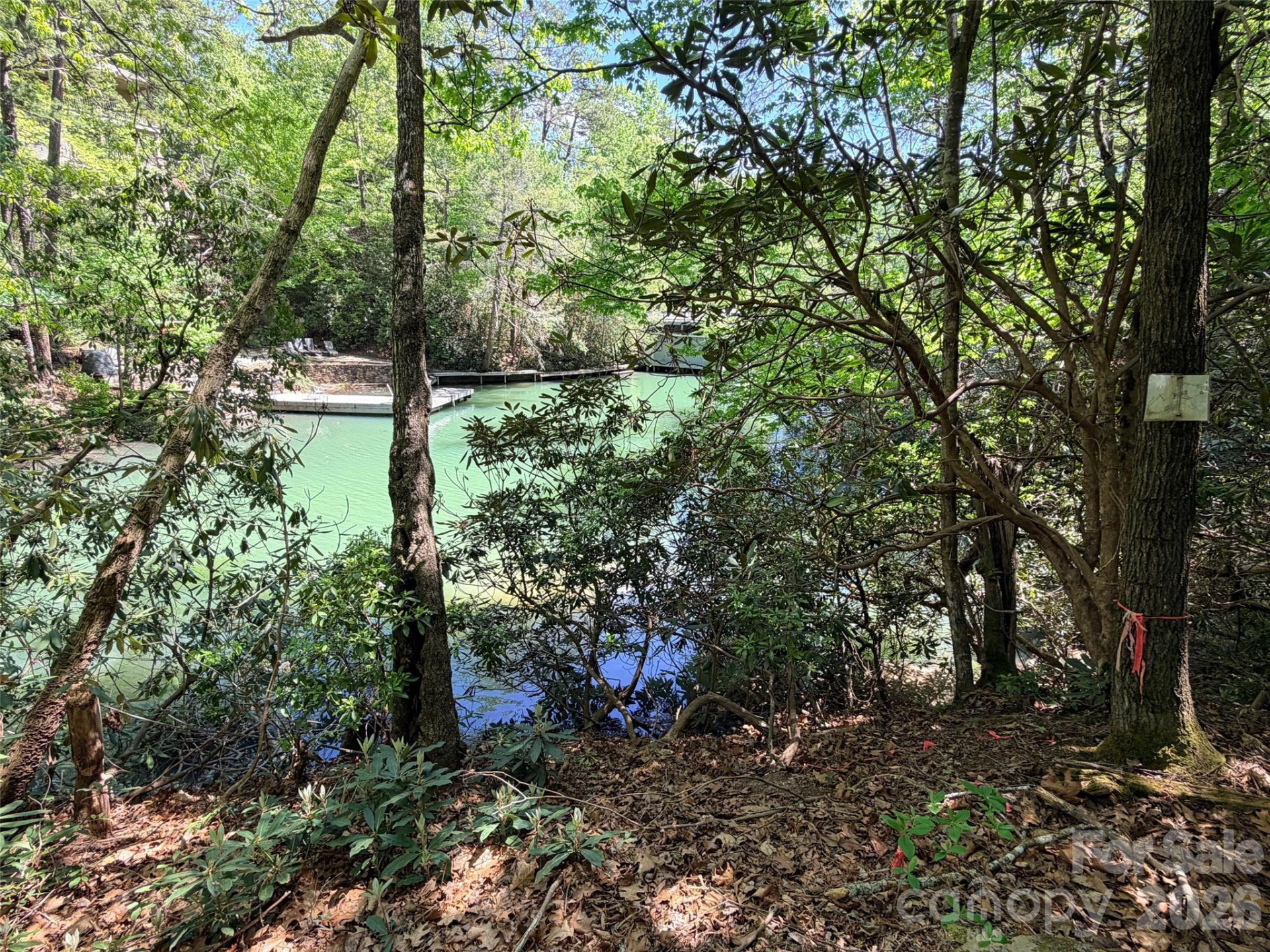 595 Quail Ridge Boulevard - Photo 4