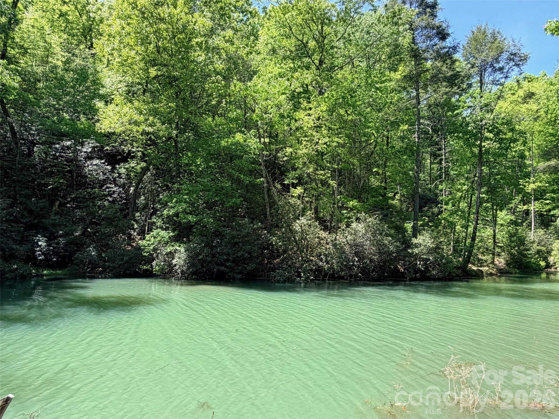 595 Quail Ridge Boulevard - Photo 5