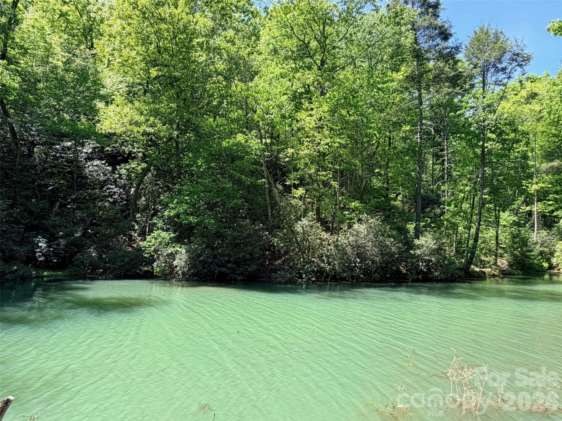 595 Quail Ridge Boulevard - Photo 5