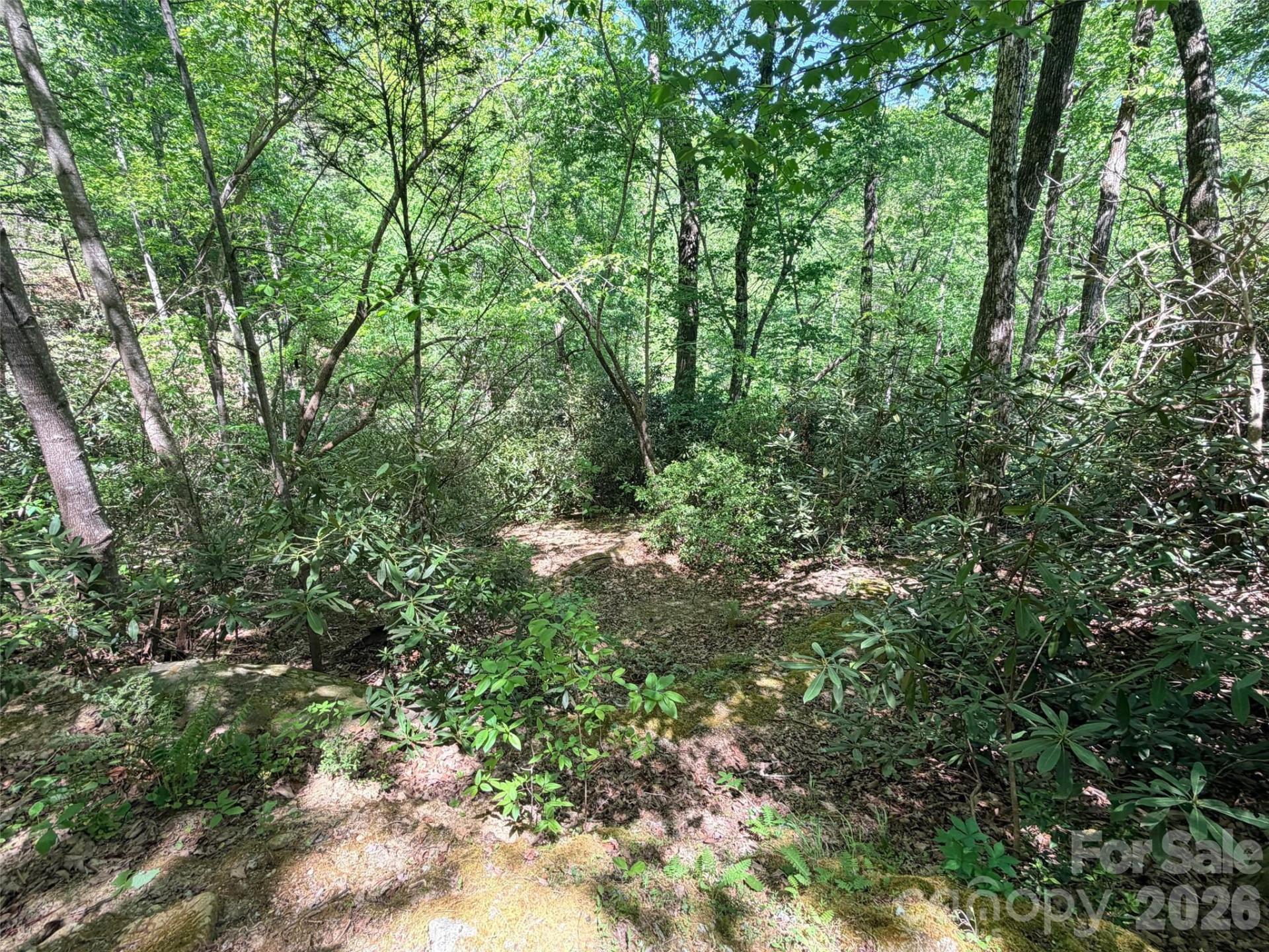 595 Quail Ridge Boulevard - Photo 6