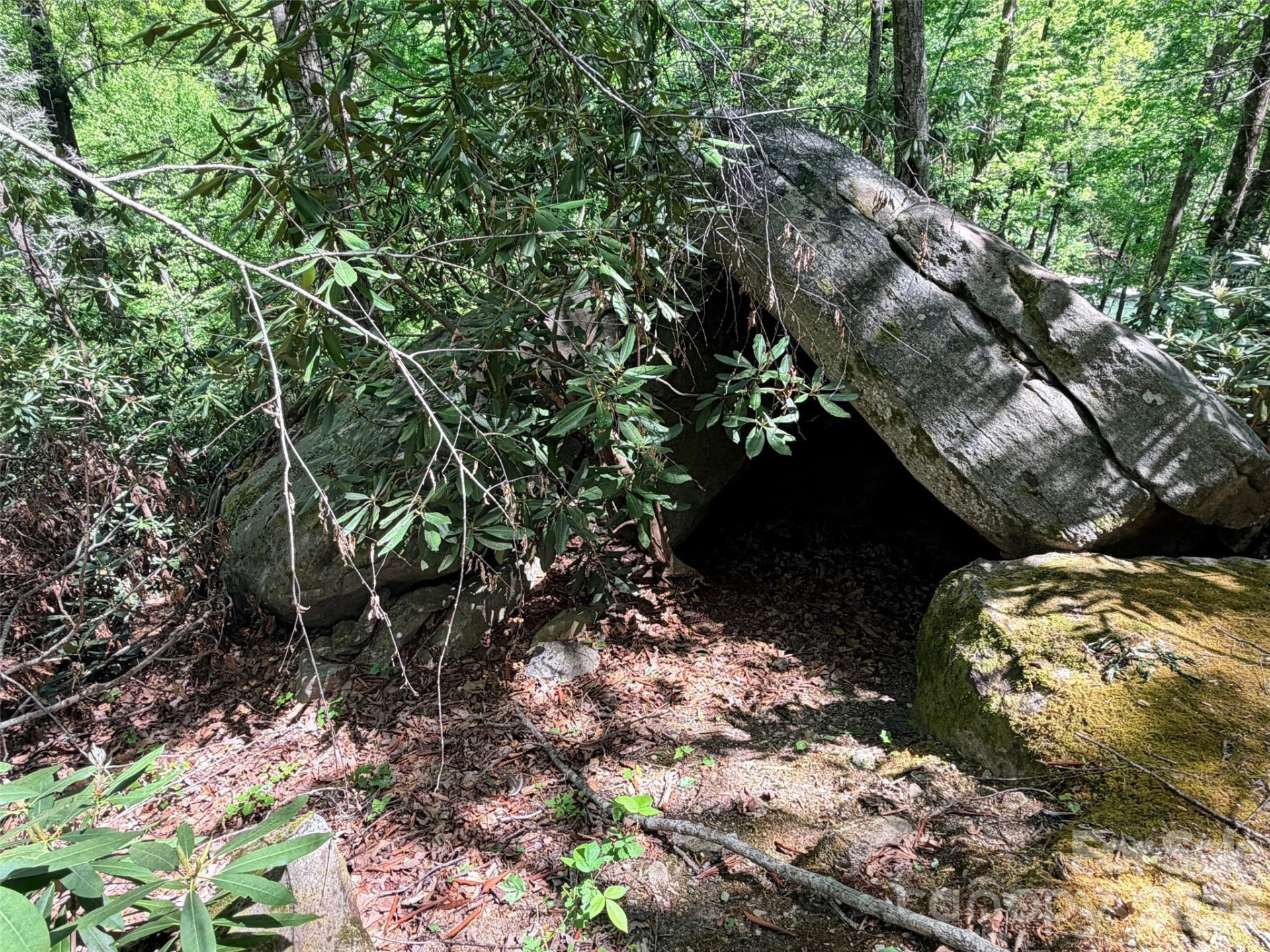 595 Quail Ridge Boulevard - Photo 7