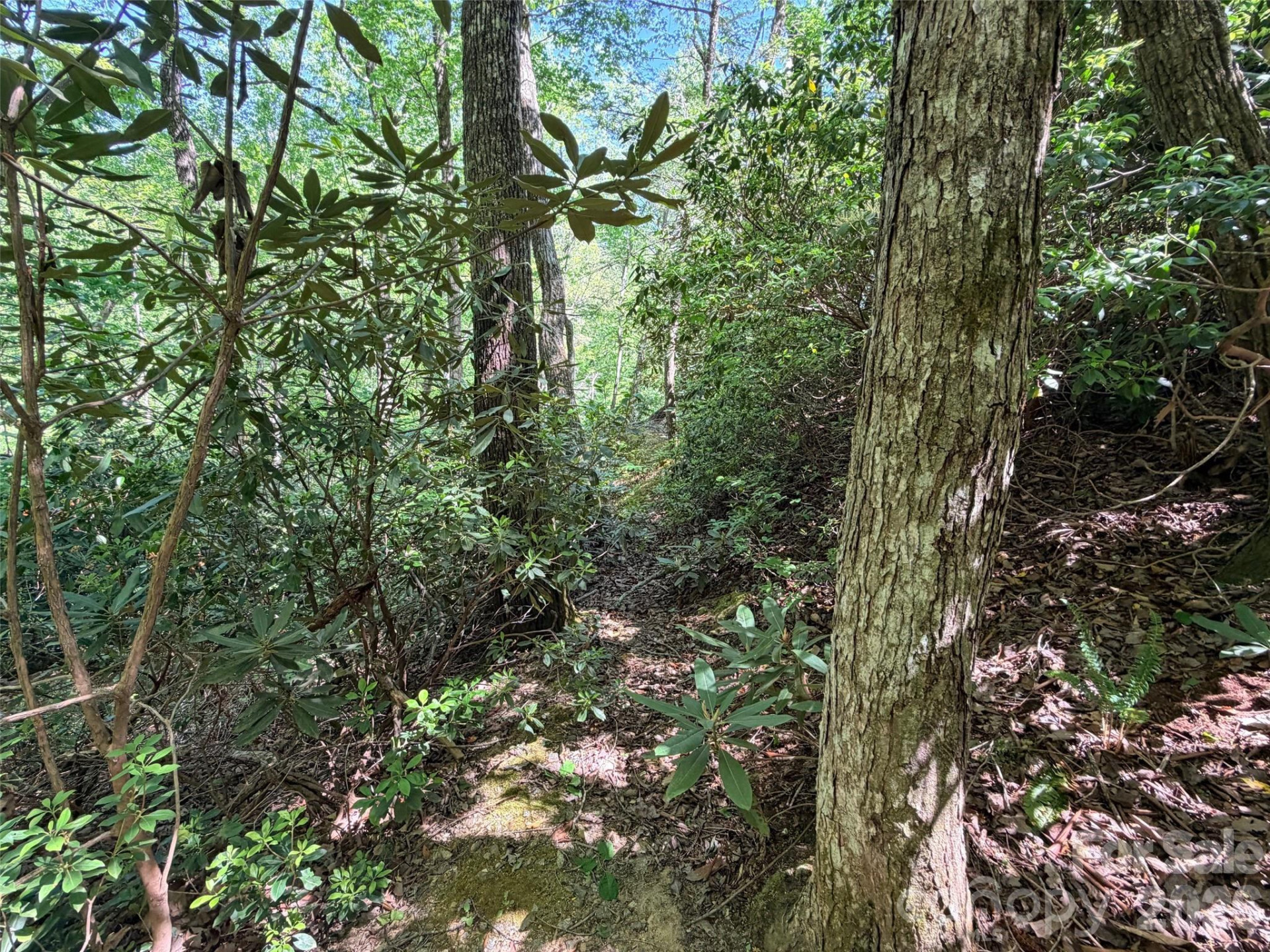 595 Quail Ridge Boulevard - Photo 10