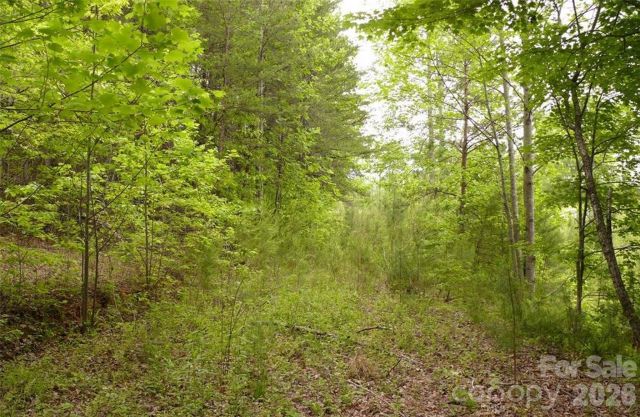 0 Vineyards Way, Lake Lure, NC, 28746