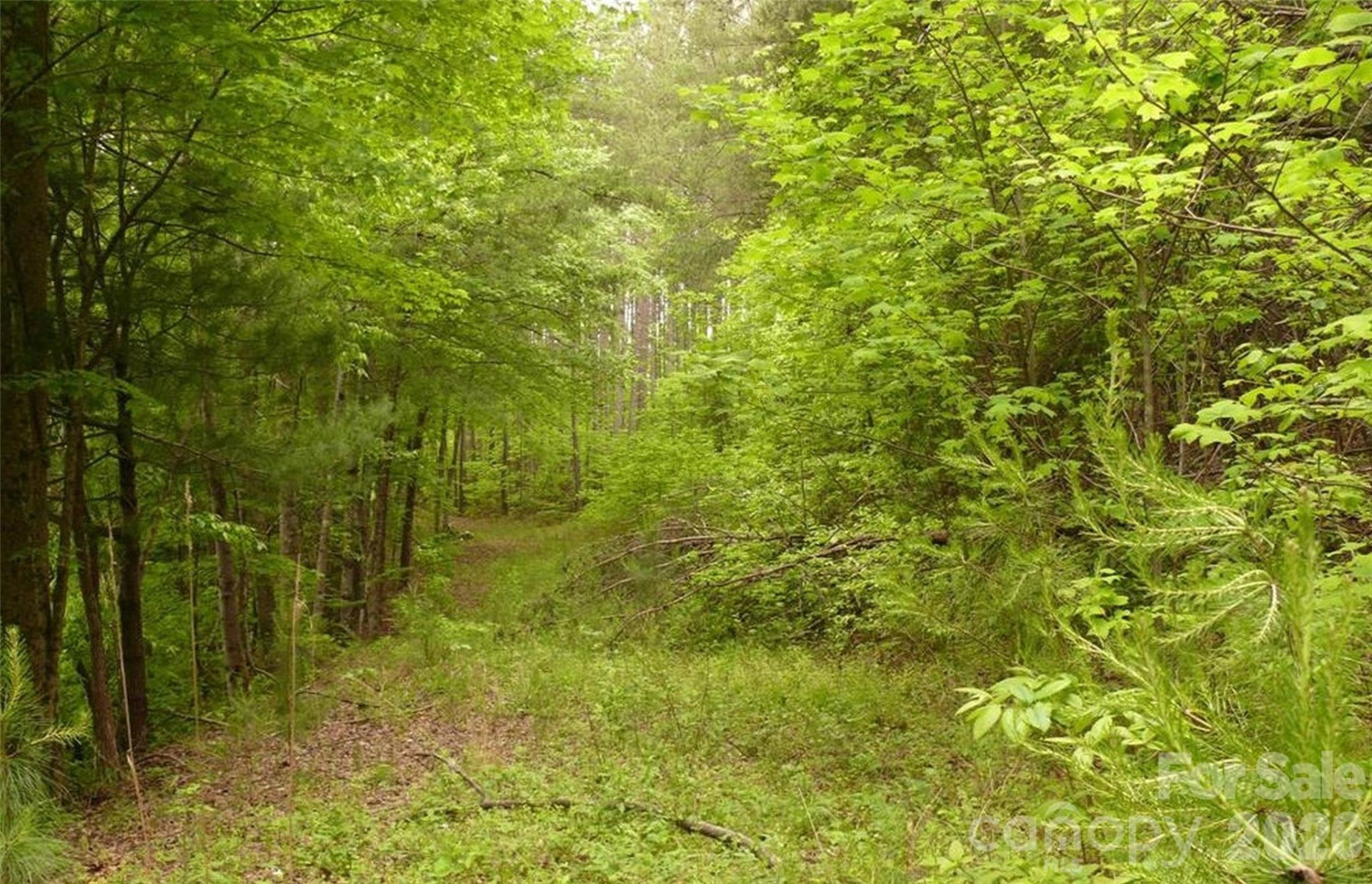 0 Vineyards Way #14 - Photo 2