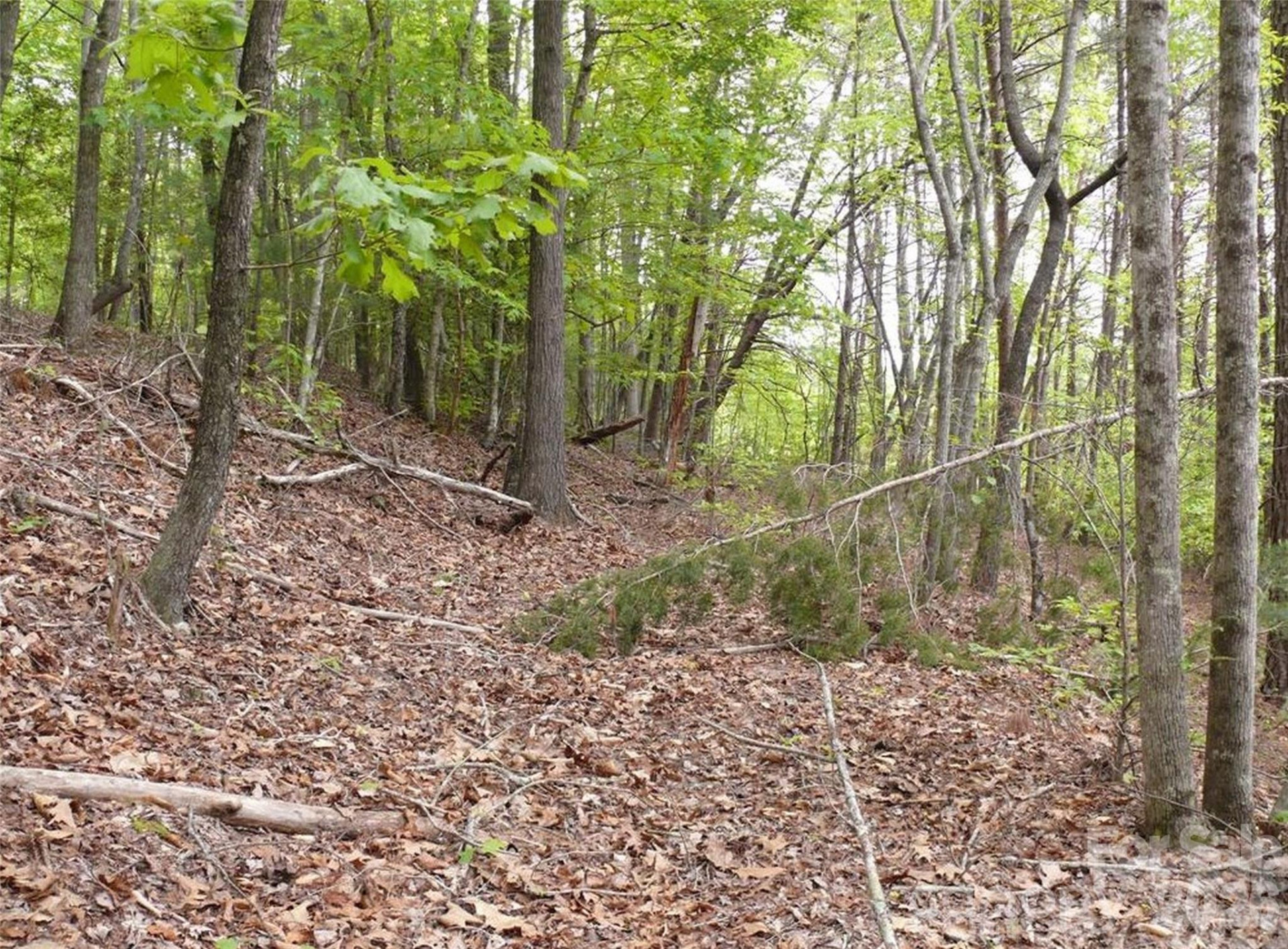 0 Vineyards Way #14 - Photo 11