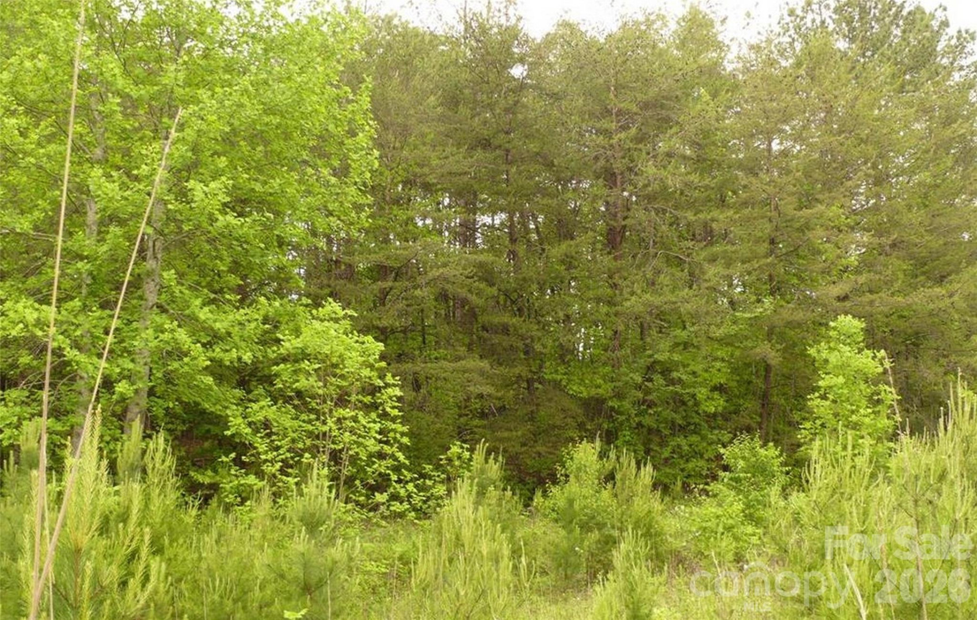 0 Vineyards Way #14 - Photo 12