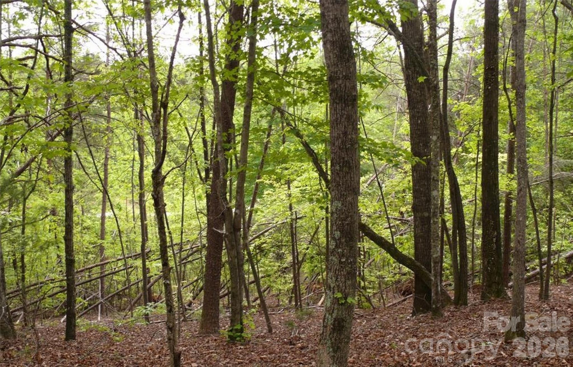 0 Vineyards Way #14 - Photo 13