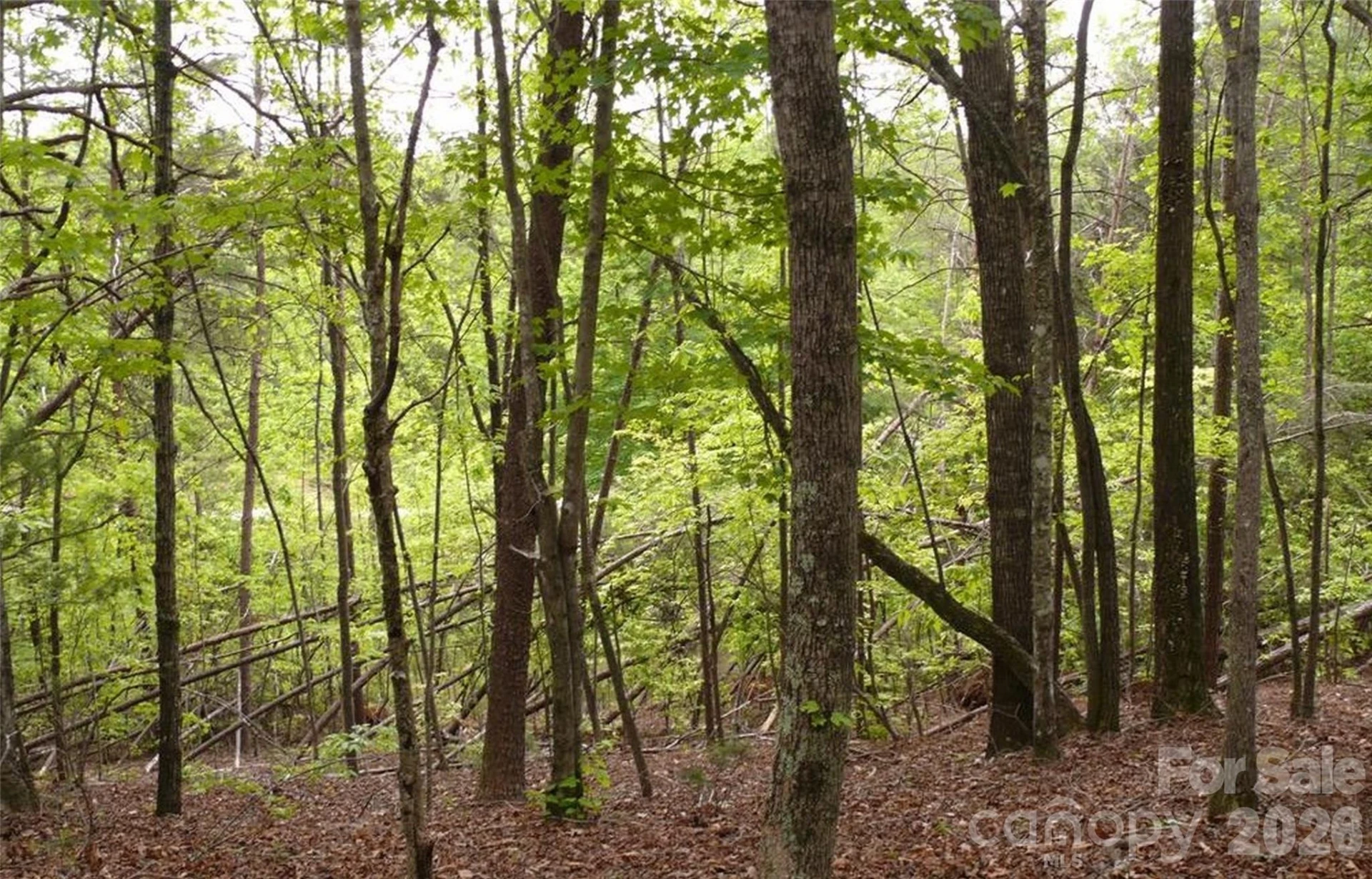 0 Vineyards Way #14 - Photo 13