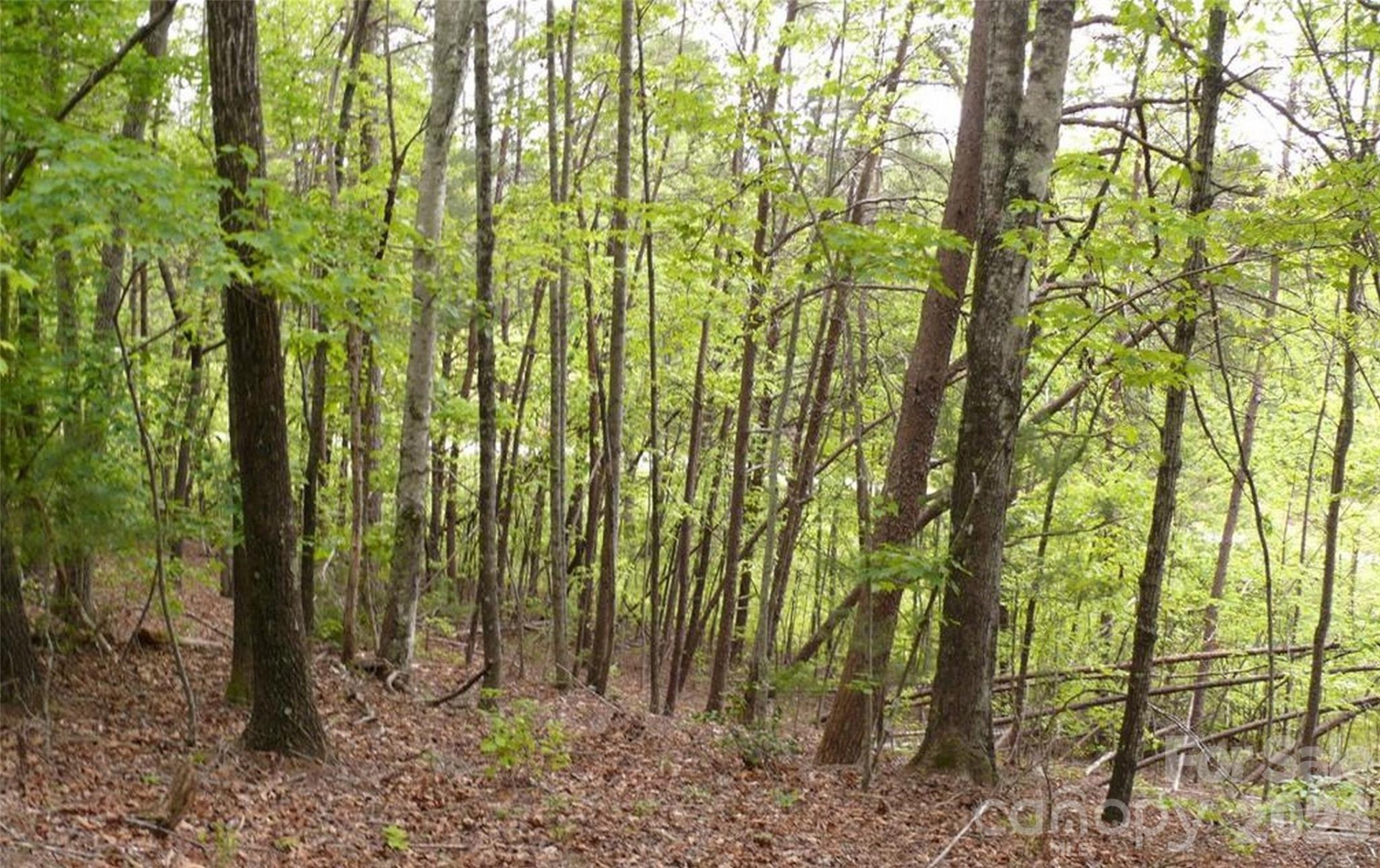 0 Vineyards Way #14 - Photo 14